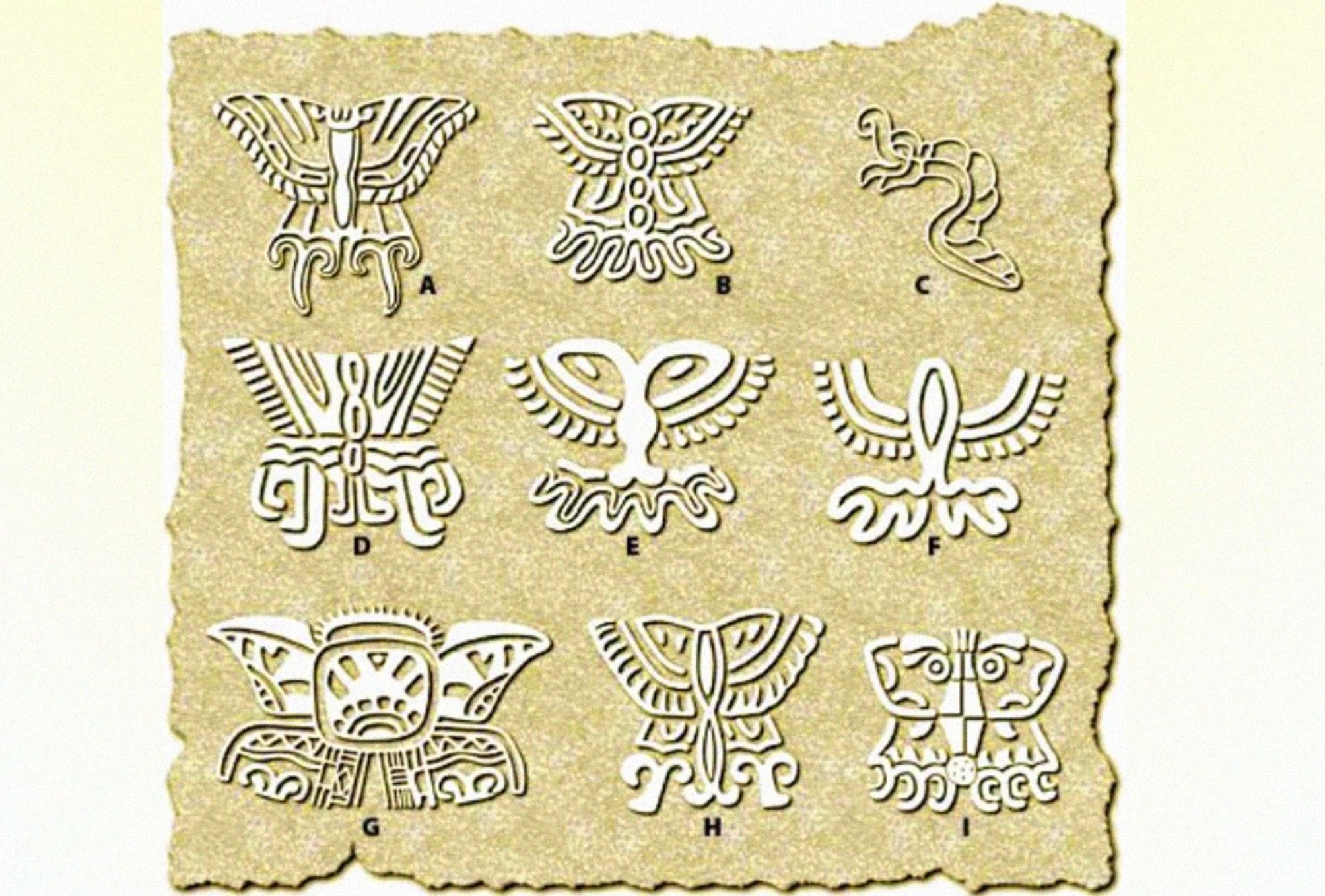 Τα βασιλικά μυστικά της πεταλούδας: Μύθοι θρύλοι και παραδώσεις που συνοδεύουν την μεταμόρφωση της πεταλούδας