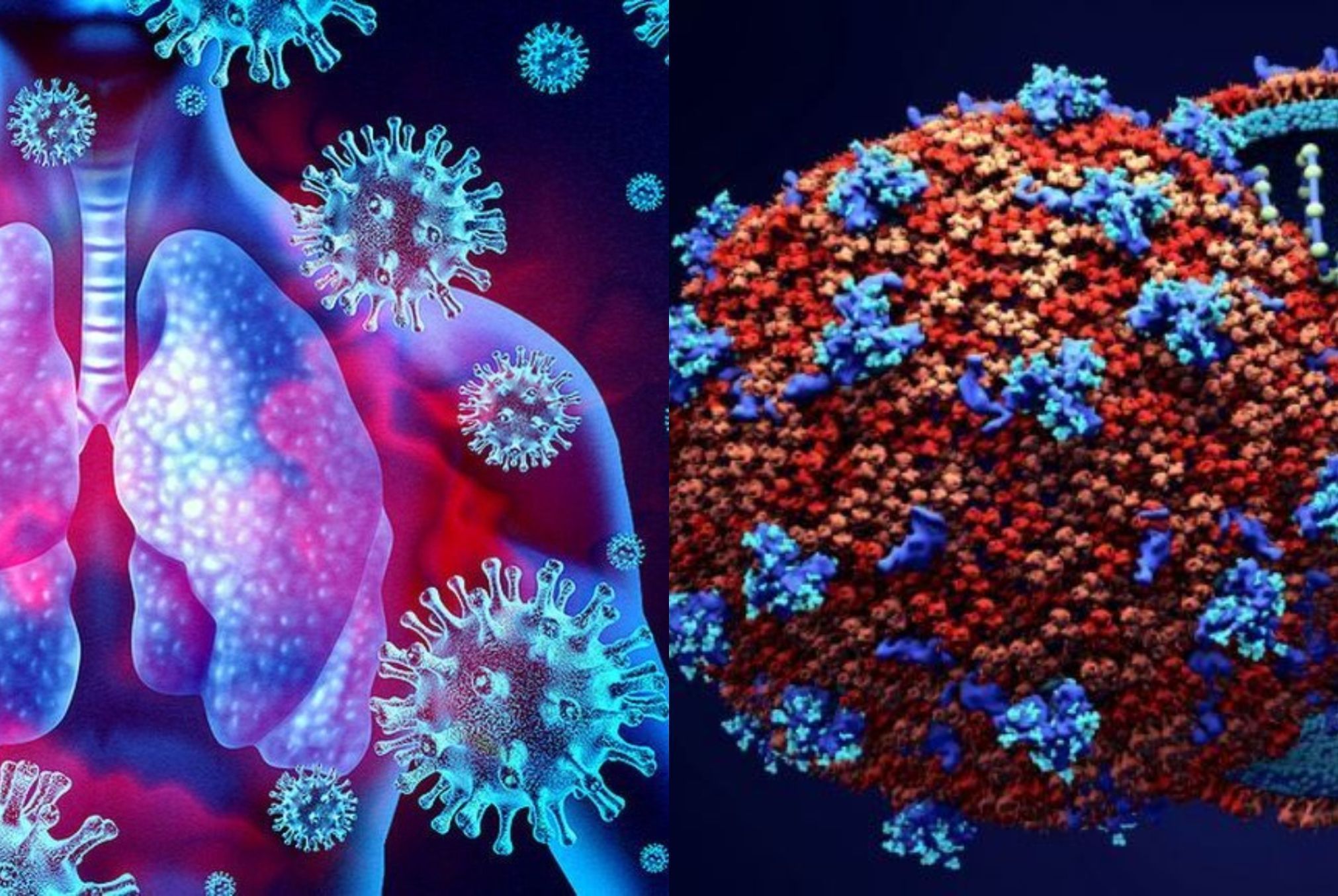 COVID-19: Τι είναι η κλοπή ανοσίας και πώς κάποιες λοιμώξεις μπορούν να μας κάνουν πιο ευπαθείς σε άλλες