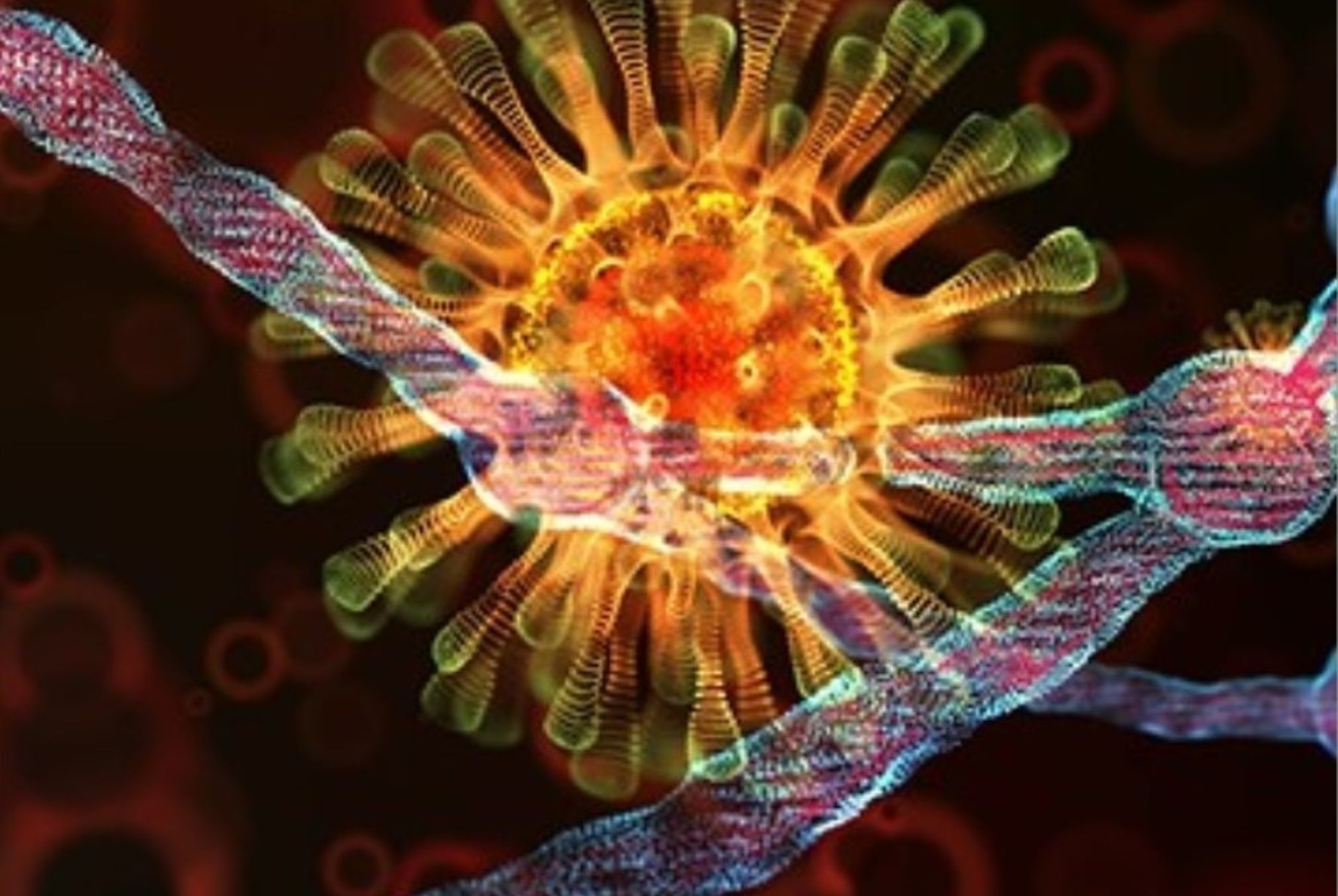 COVID-19: Τι είναι η κλοπή ανοσίας και πώς κάποιες λοιμώξεις μπορούν να μας κάνουν πιο ευπαθείς σε άλλες