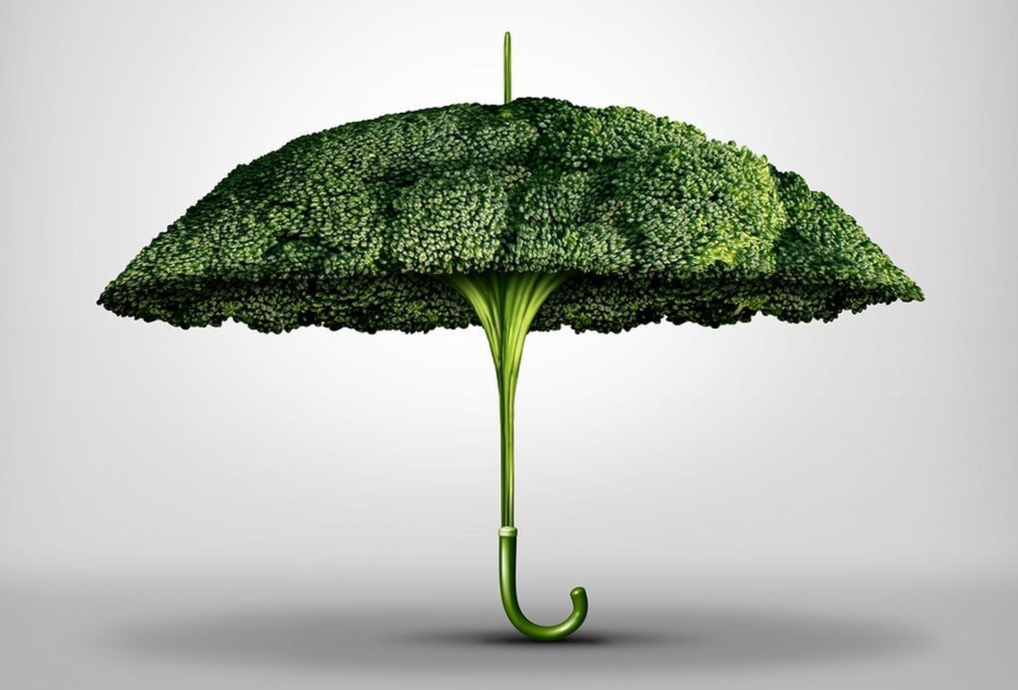 Μπρόκολο: Η διατροφική αξία του και πως βοηθάει τον οργανισμό