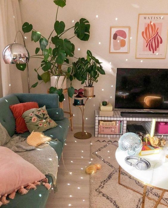 φυτά-εσωτερικού χώρου-στο-φοιτητικό-σπίτι-ιδέες- φυτά-εσωτερικού χώρου-στο-φοιτητικό-σπίτι-ιδέες-