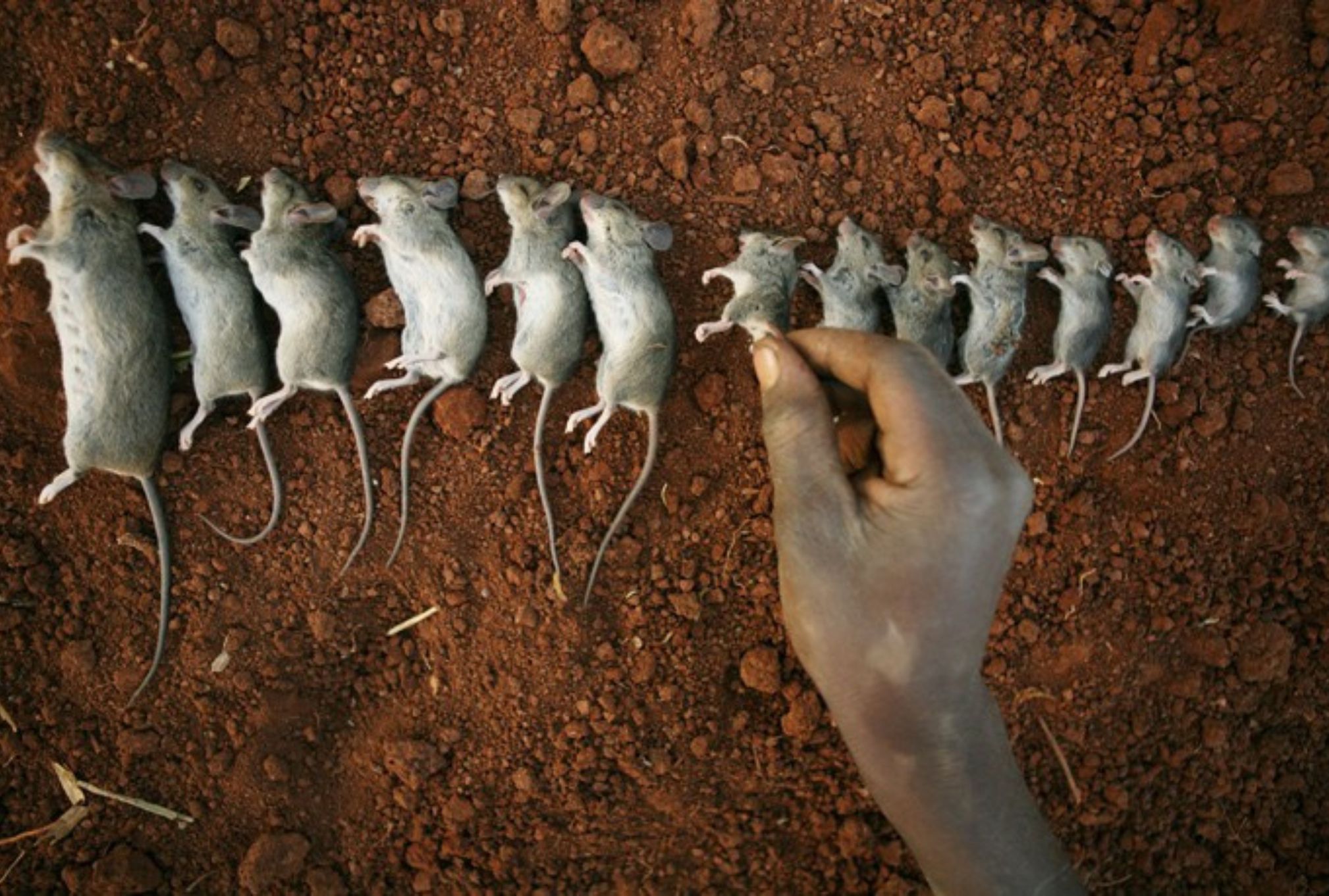 Σύμπαν 25: Ένα από τα πιο τρομακτικά πειράματα στην ιστορία της επιστήμης