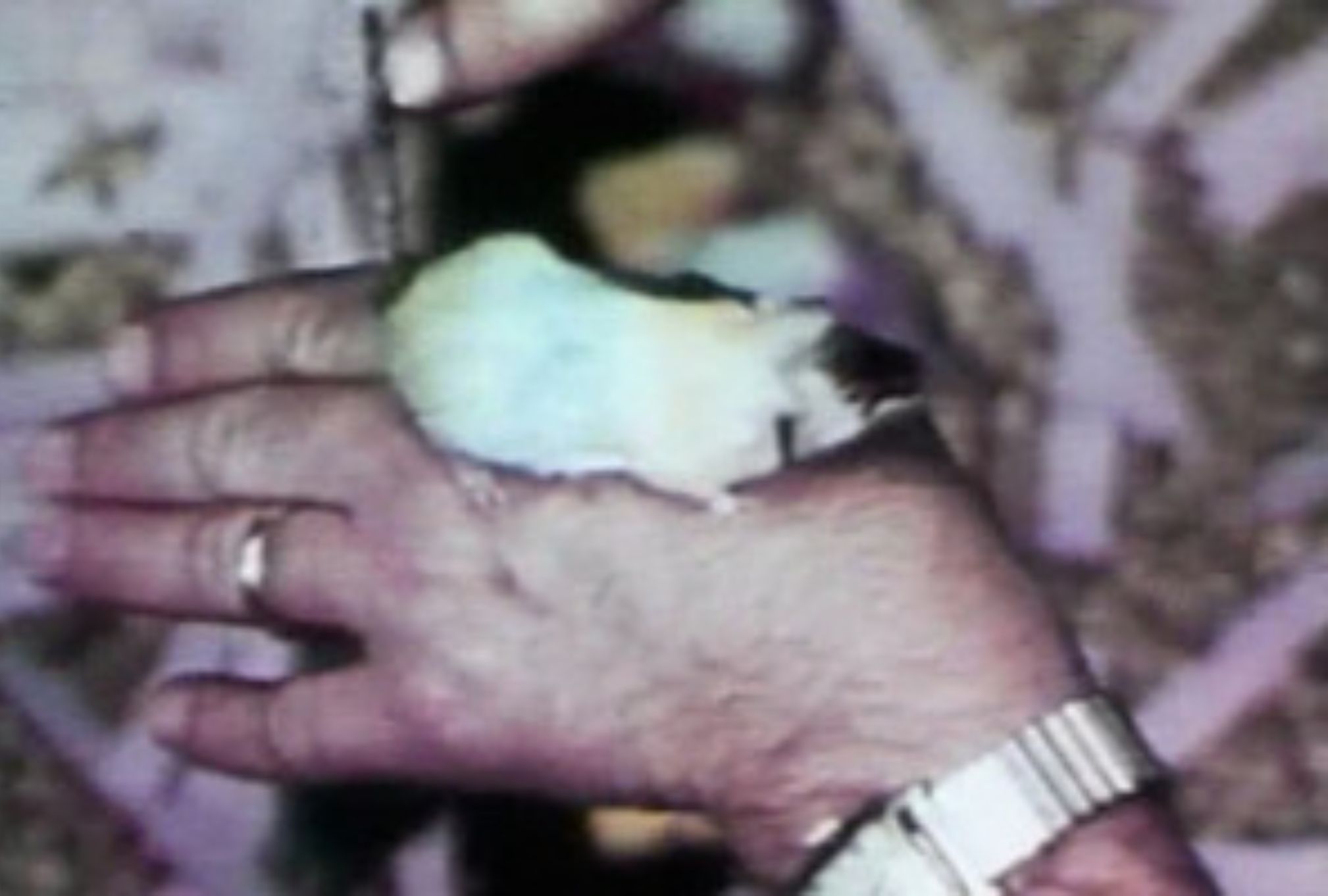 Σύμπαν 25: Ένα από τα πιο τρομακτικά πειράματα στην ιστορία της επιστήμης