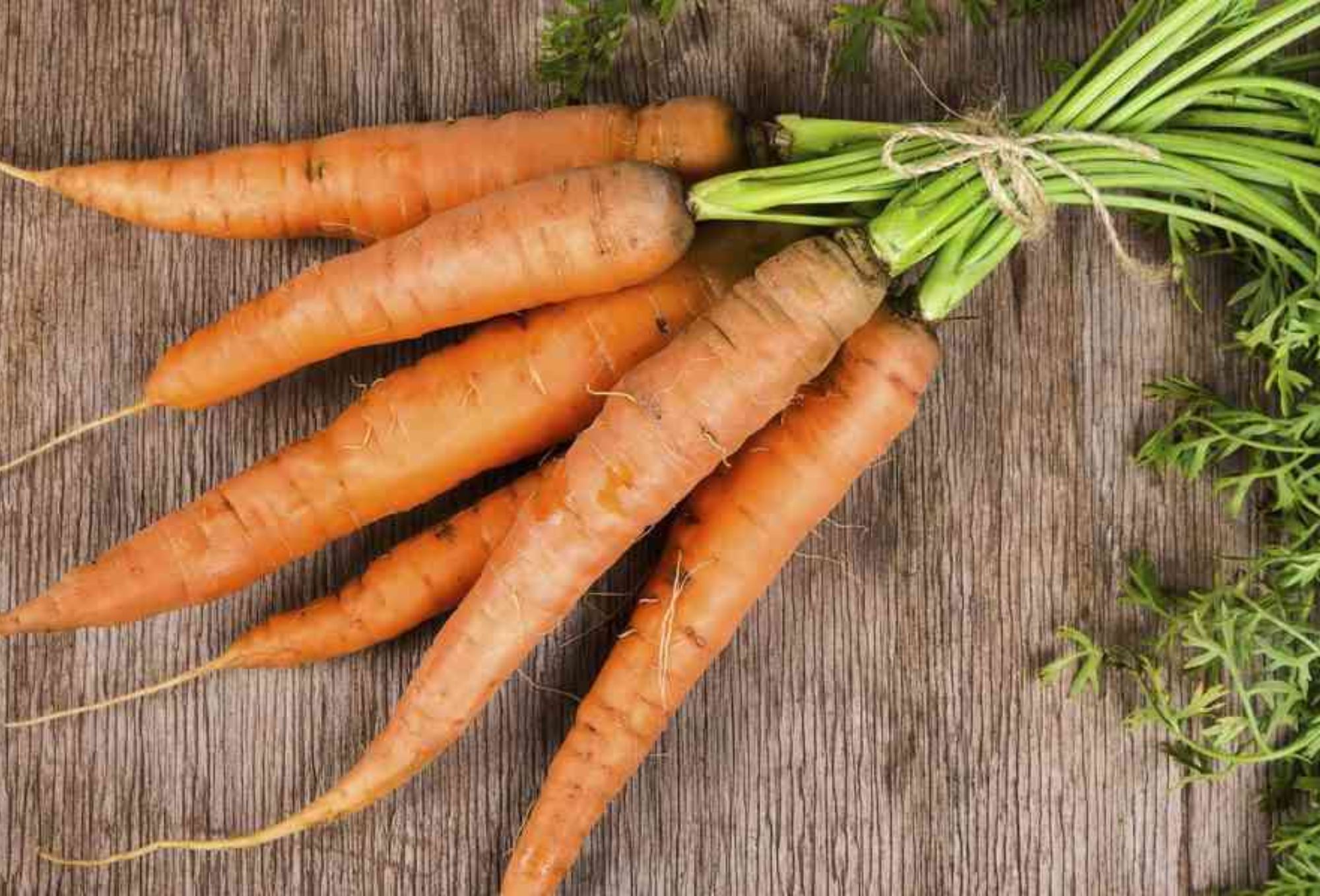 Καρότο: Η διατροφική αξία του και πως βοηθάει τον οργανισμό
