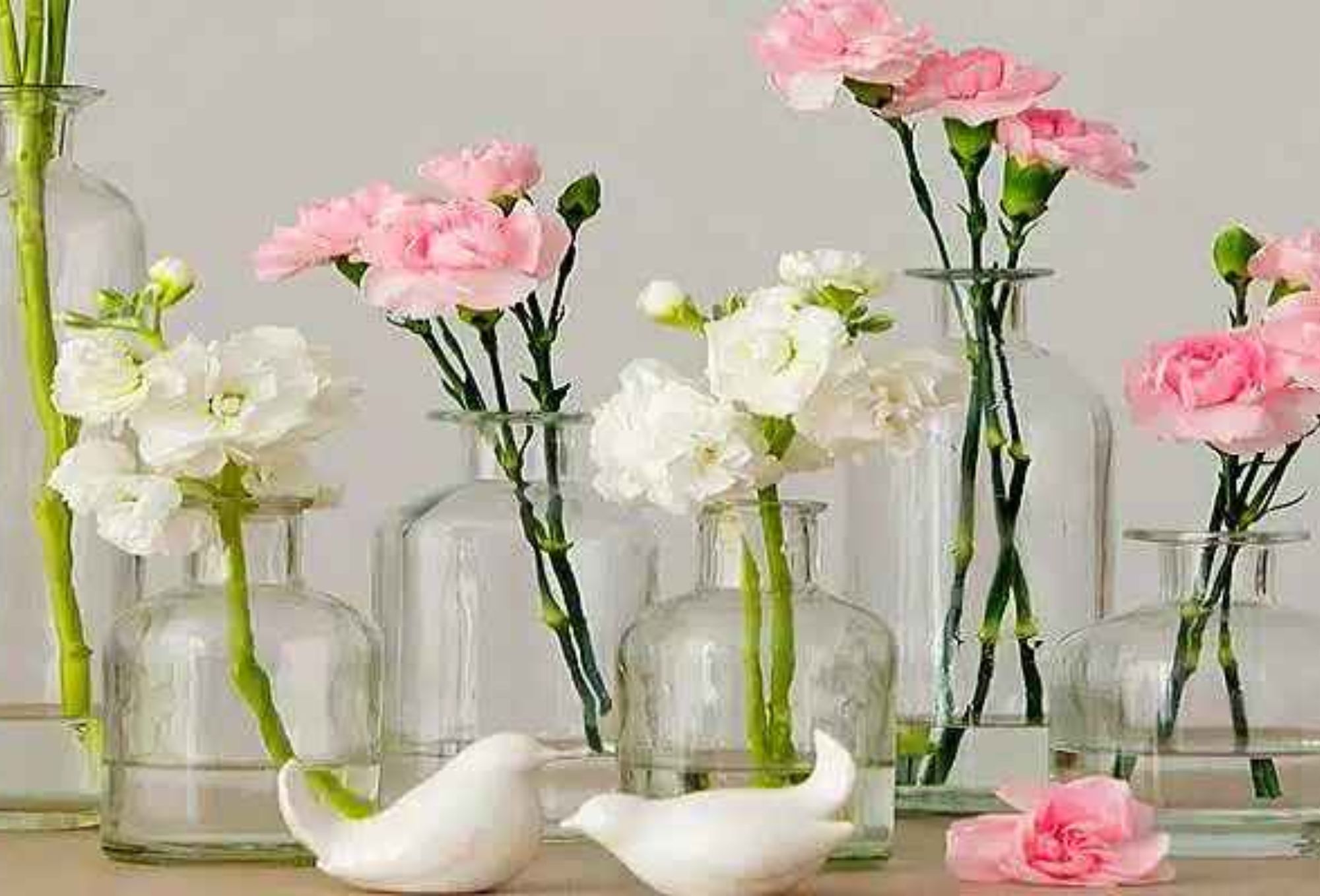 Μαυρίλα άλατα και άσχημη μυρωδιά στο εσωτερικό στα βάζα: Πως να τα καθαρίσετε