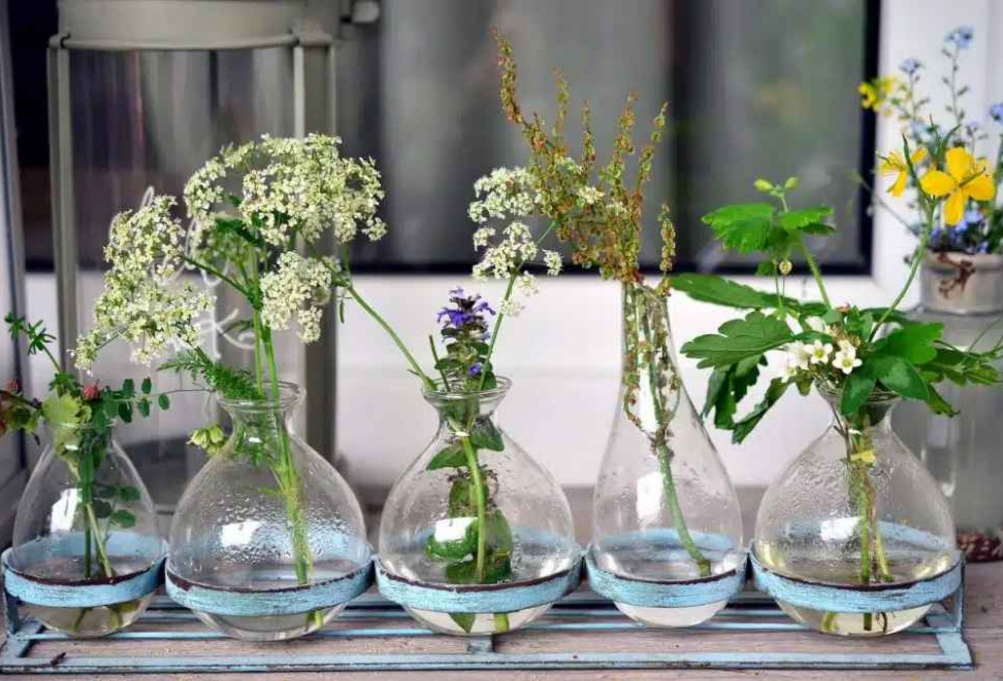 Μαυρίλα άλατα και άσχημη μυρωδιά στο εσωτερικό στα βάζα: Πως να τα καθαρίσετε