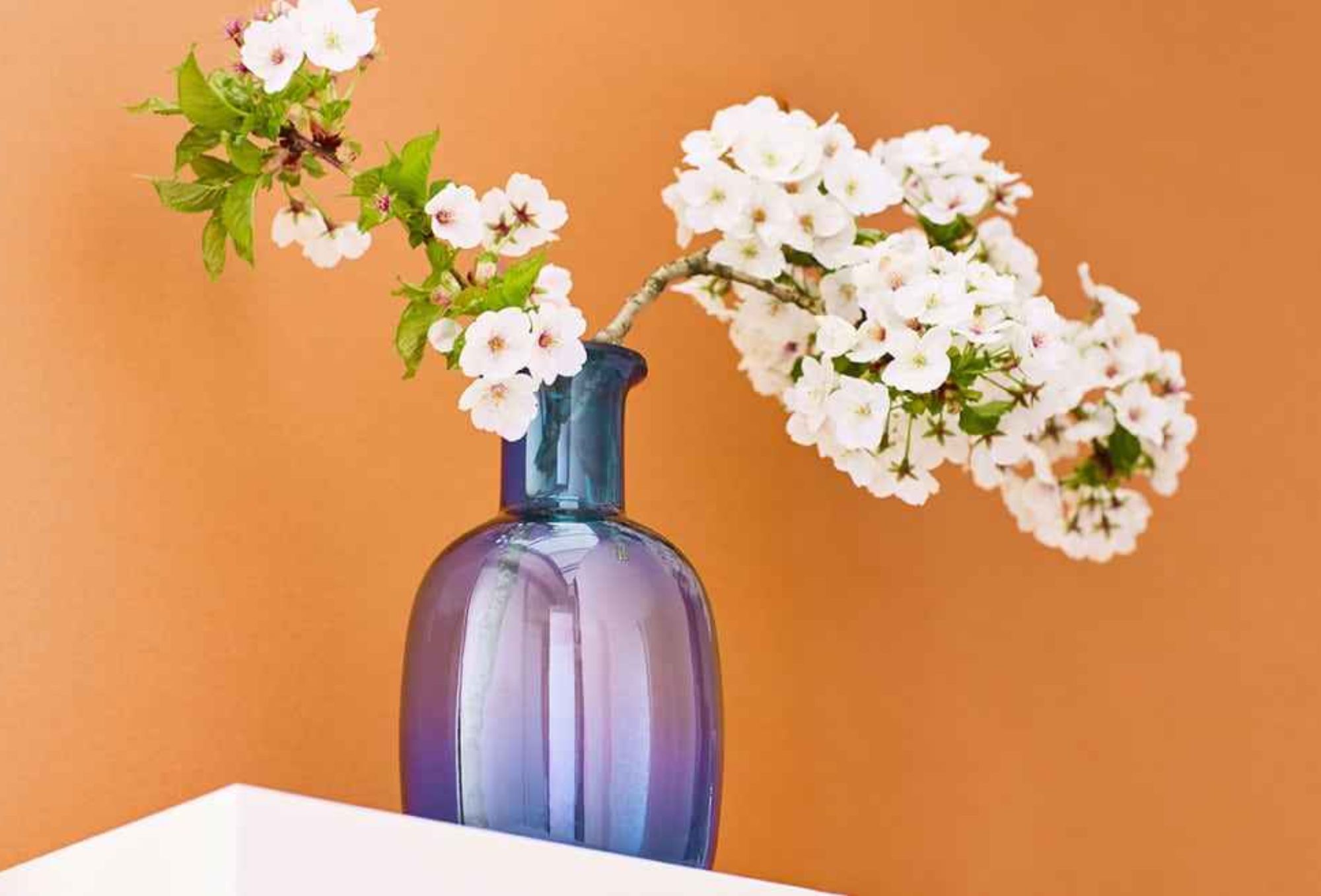 Μαυρίλα άλατα και άσχημη μυρωδιά στο εσωτερικό στα βάζα: Πως να τα καθαρίσετε