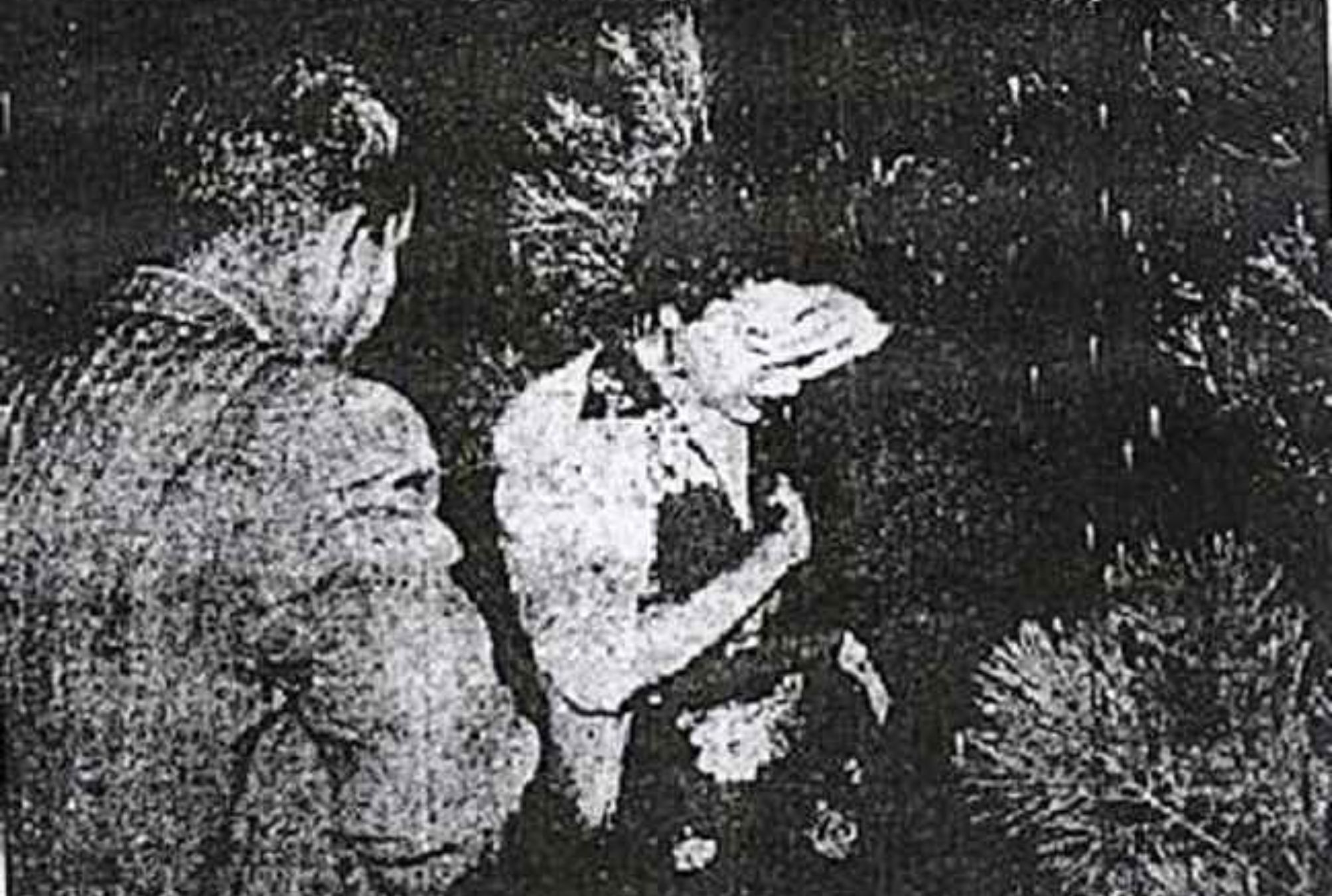 Ελένη Κικίδου: 