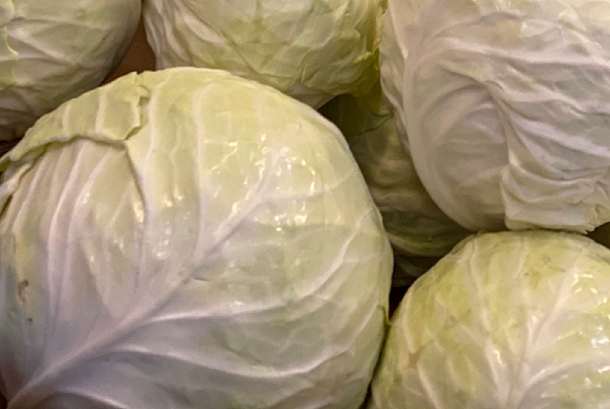 Λάχανο: Η διατροφική αξία του και πως βοηθάει τον οργανισμό