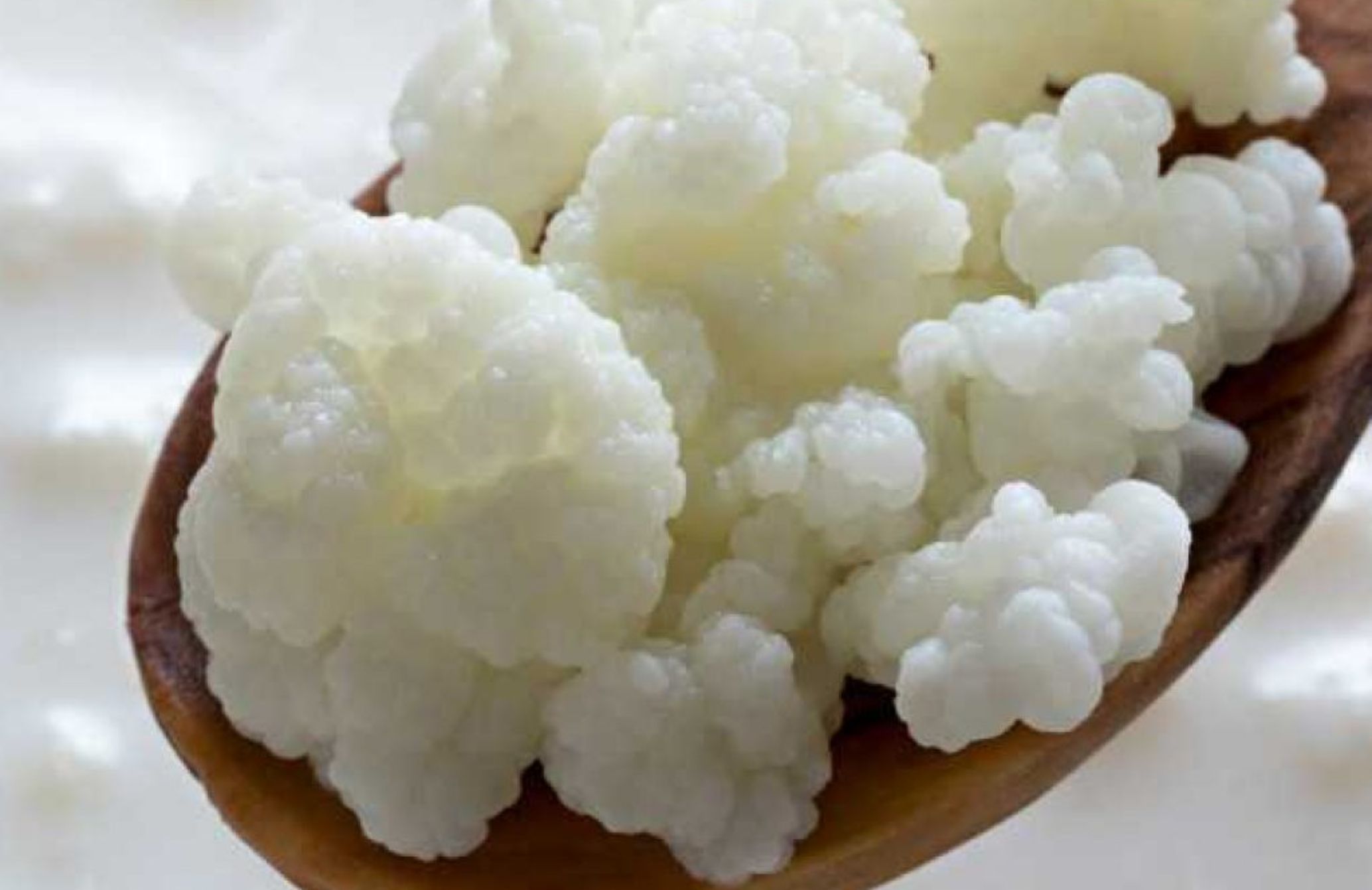 Κεφίρ: Η διατροφική αξία του και πως βοηθάει τον οργανισμό