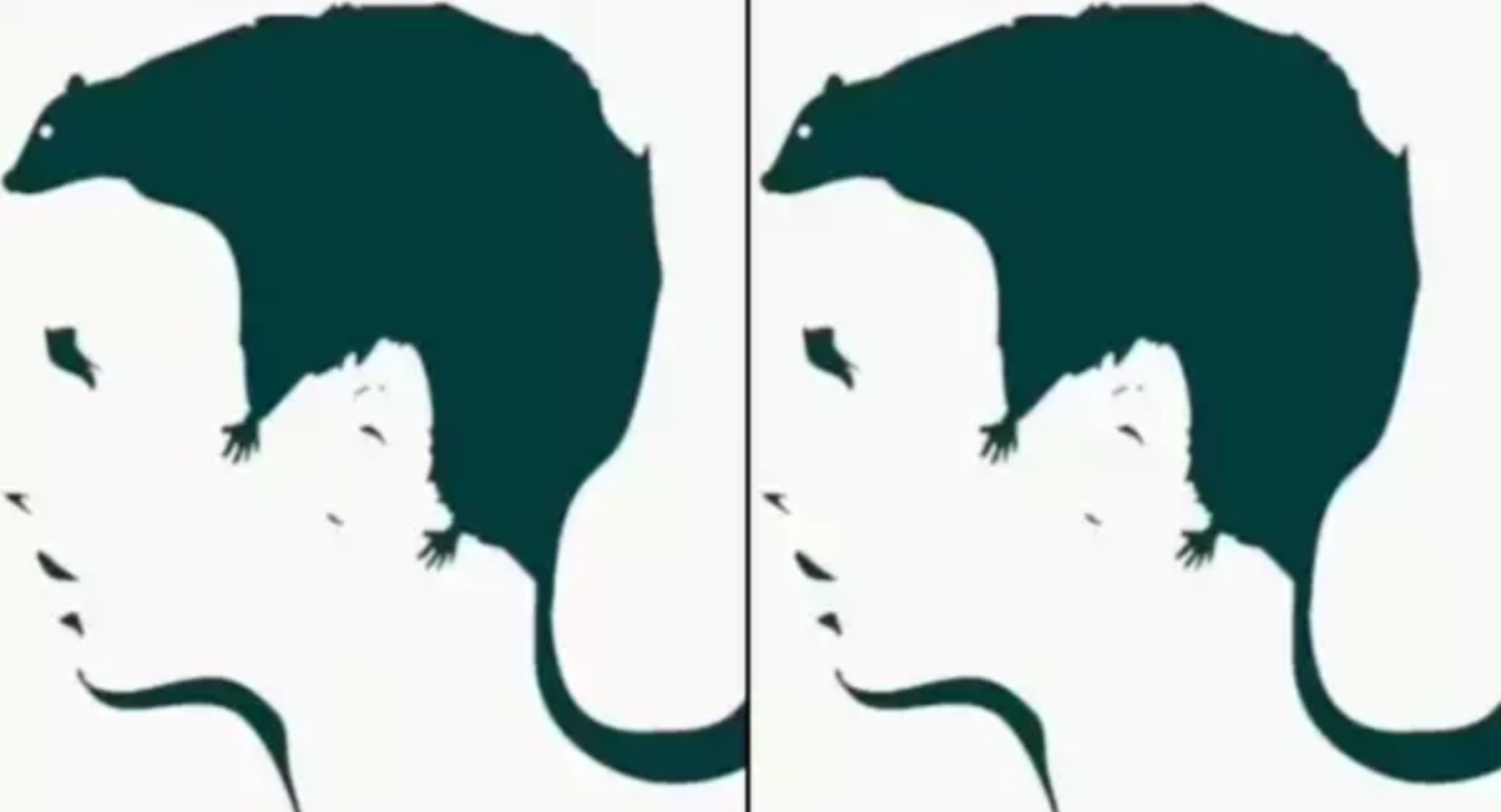 Τεστ προσωπικότητας: Το τεστ του ποντικού που θα σας αποκαλύψει τους υποσυνείδητους φόβους σας