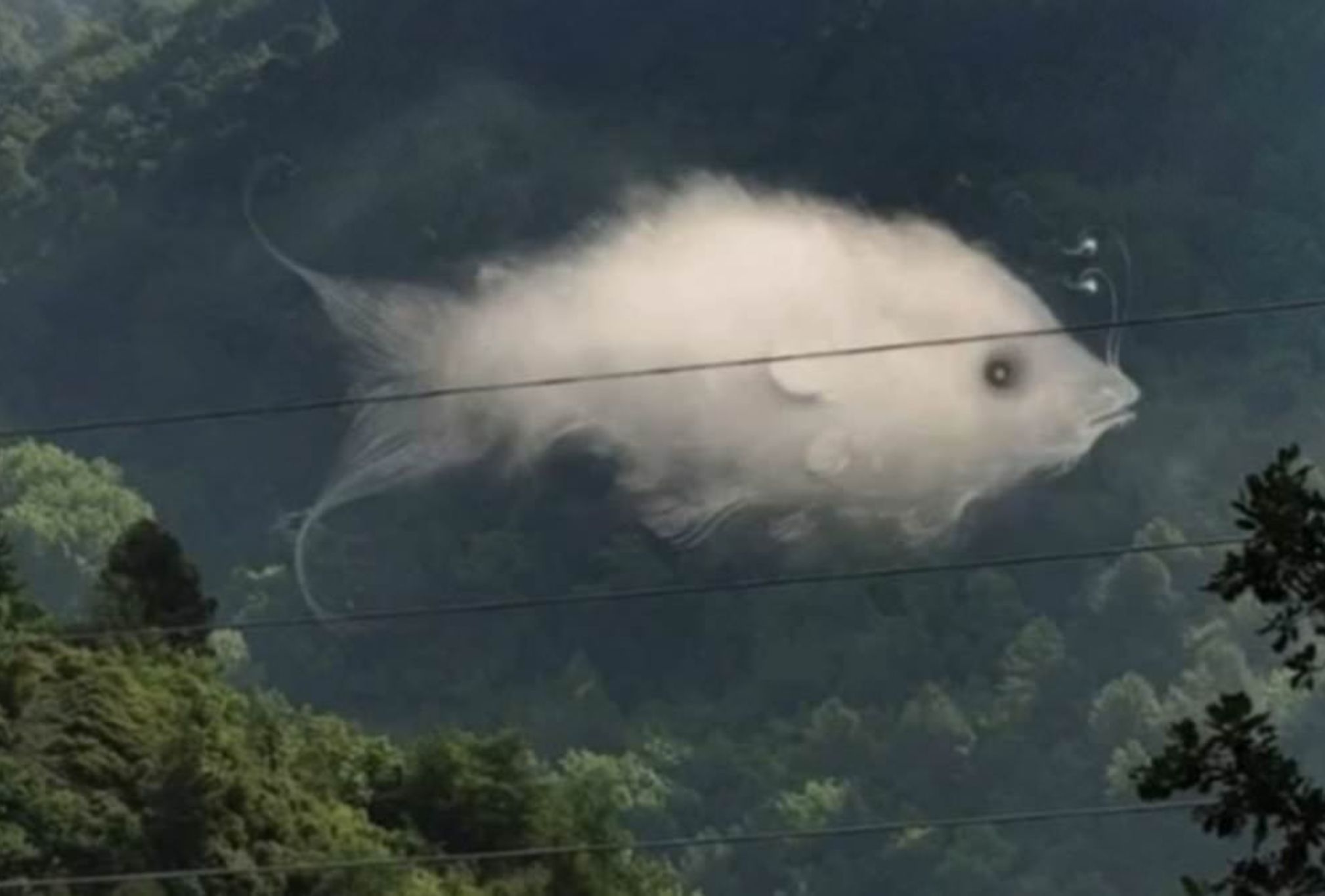 Τεστ προσωπικότητας: Φοβάστε υποσυνείδητα τη δέσμευση; Κάντε το τεστ και ανακαλύψτε το