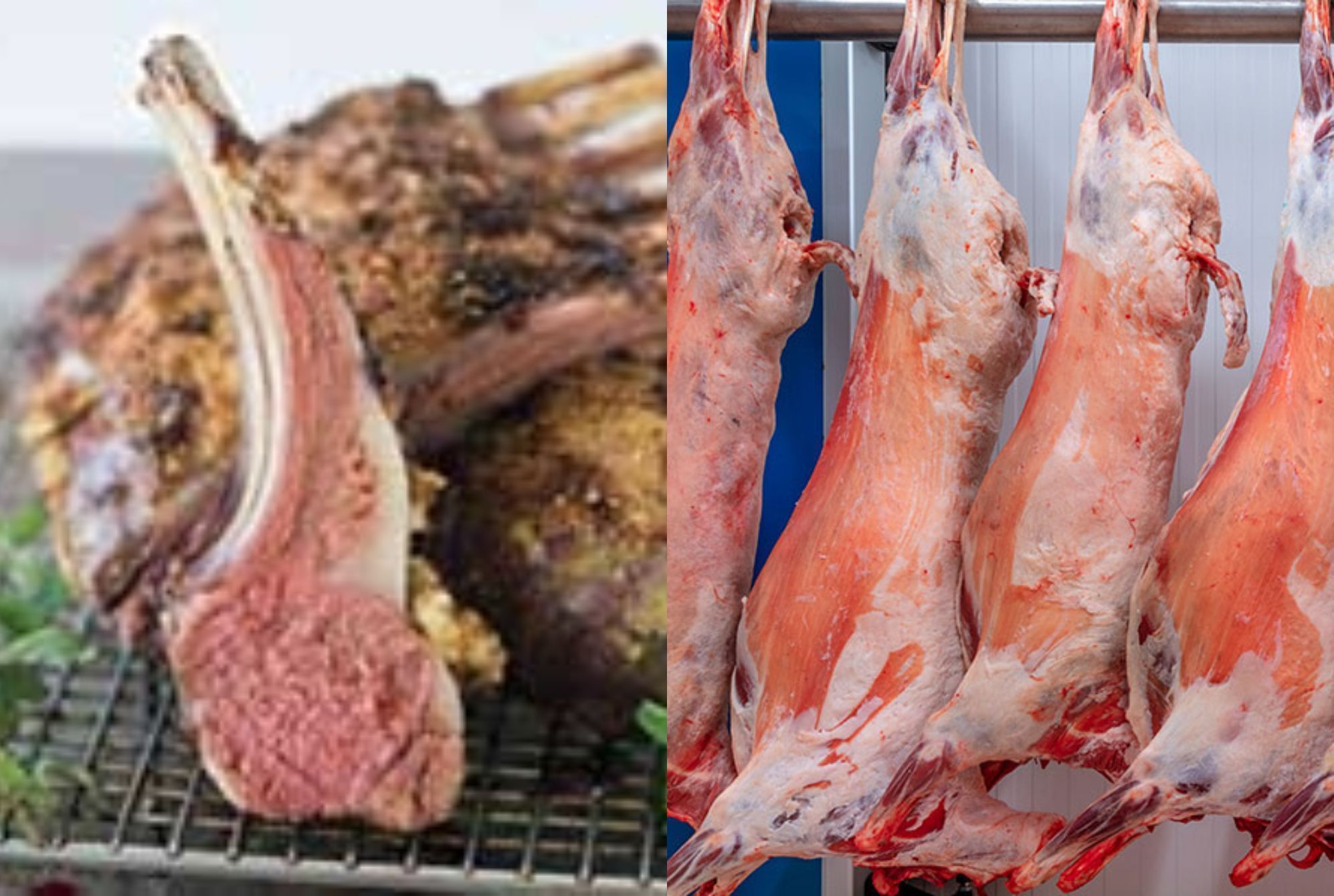 Αρνί: Η διατροφική αξία του και πως βοηθάει τον οργανισμό