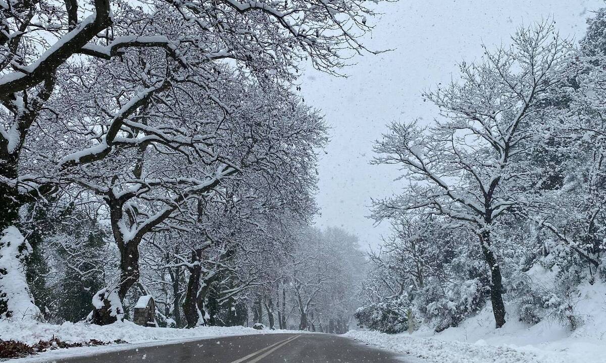 Στενή Ευβοίας-για-οικονομικές-χειμερινές διακοπές-του-Αγίου Βαλεντίνου- Στενή Ευβοίας-για-οικονομικές-χειμερινές διακοπές-του-Αγίου Βαλεντίνου-