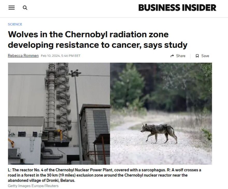 Οι μεταλλαγμένοι λύκοι του Τσερνόμπιλ νίκησαν τον καρκίνο