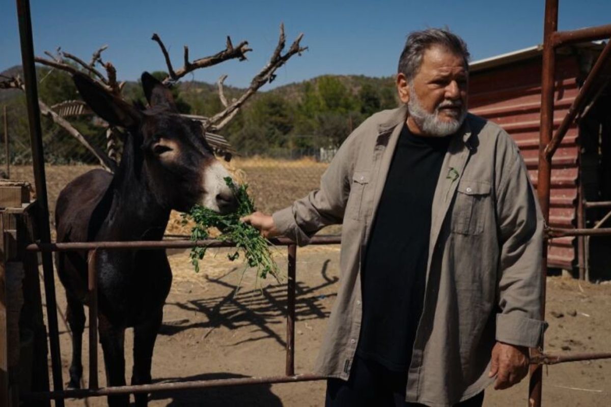 Η Γη της Ελιάς: Ο Λυκούργος για άλλη μια φορά βγάζει το φίδι από την τρύπα