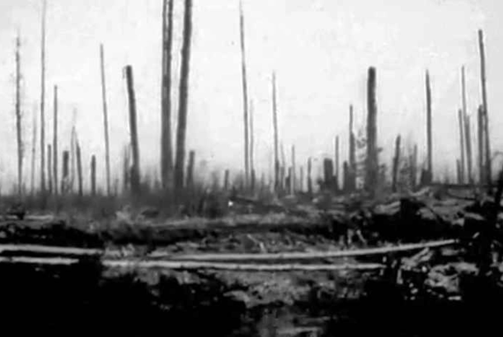 Τουνγκούσκα: Η μυστηριώδης έκρηξη που ισοπέδωσε χιλιόμετρα δάσους σε λίγα δευτερόλεπτα και οι θεωρίες συνωμοσίας για εξωγήινους