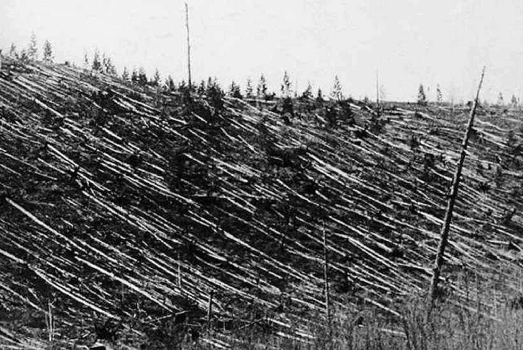 Τουνγκούσκα: Η μυστηριώδης έκρηξη που ισοπέδωσε χιλιόμετρα δάσους σε λίγα δευτερόλεπτα και οι θεωρίες συνωμοσίας για εξωγήινους