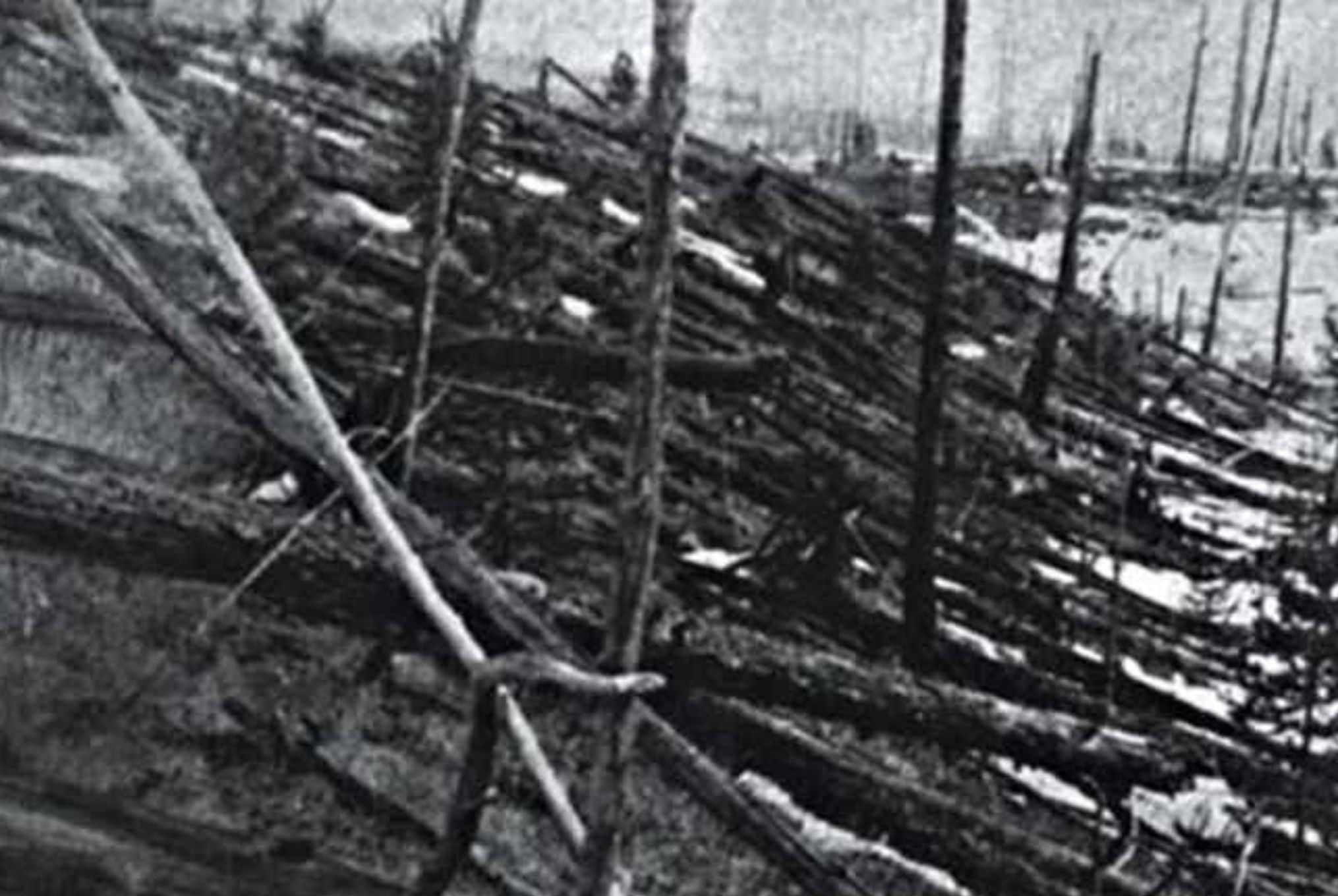 Τουνγκούσκα: Η μυστηριώδης έκρηξη που ισοπέδωσε χιλιόμετρα δάσους σε λίγα δευτερόλεπτα και οι θεωρίες συνωμοσίας για εξωγήινους