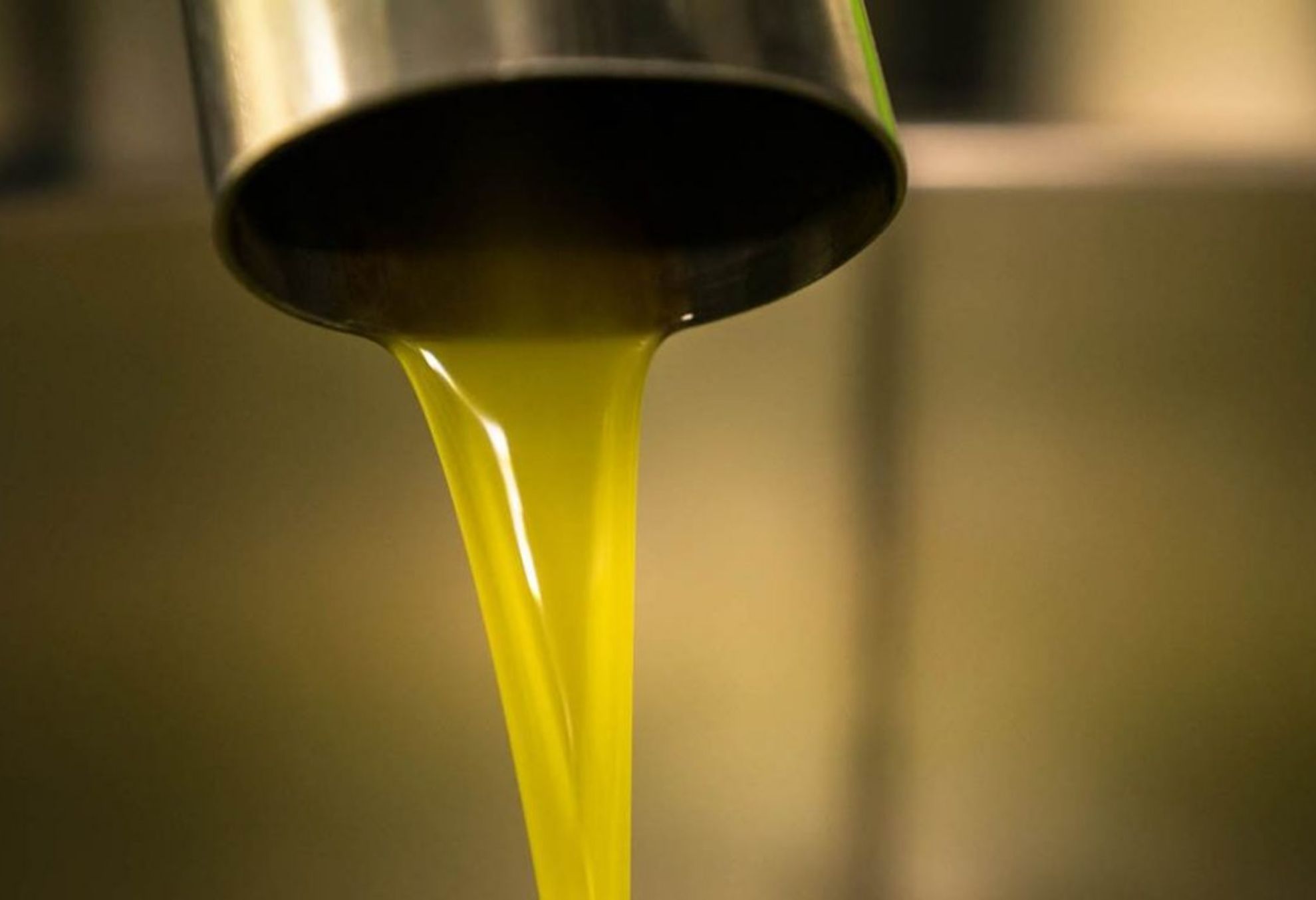 Ελαιόλαδο: Η διατροφική αξία του και πως βοηθάει τον οργανισμό