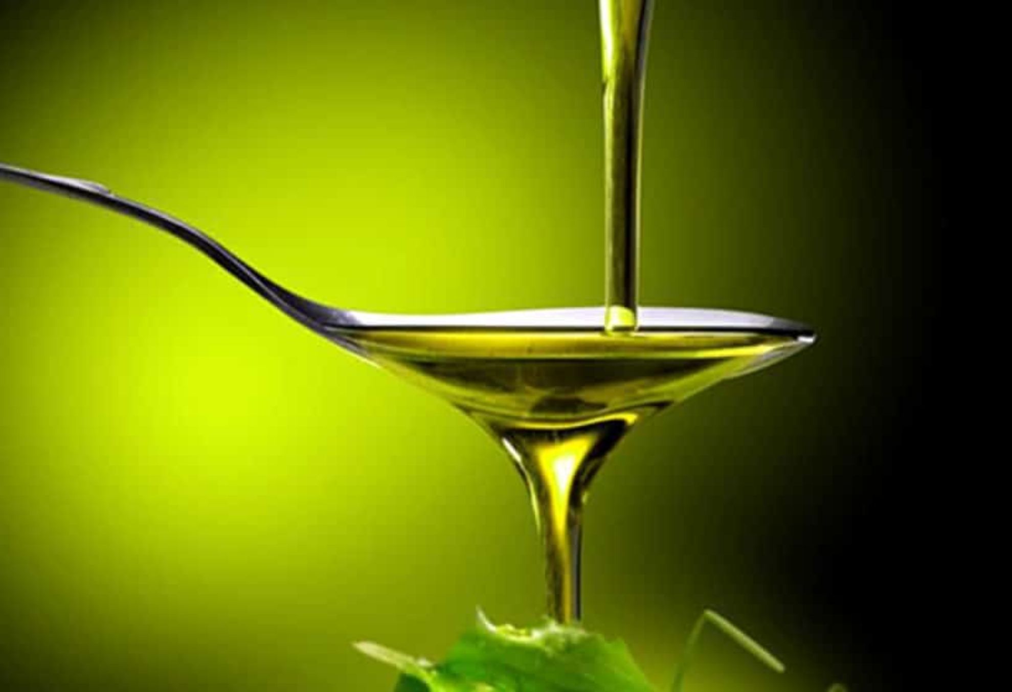 Ελαιόλαδο: Η διατροφική αξία του και πως βοηθάει τον οργανισμό