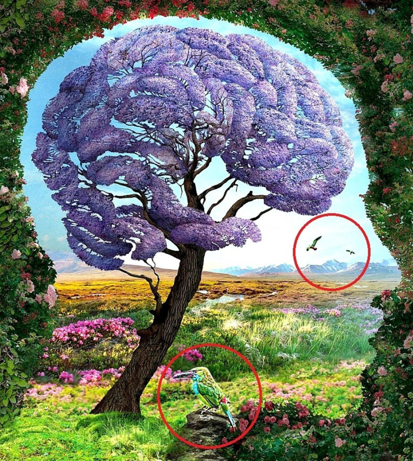 Ψυχολογικό τεστ: Ποια μυστικά κρύβει το ασυνείδητό σας;