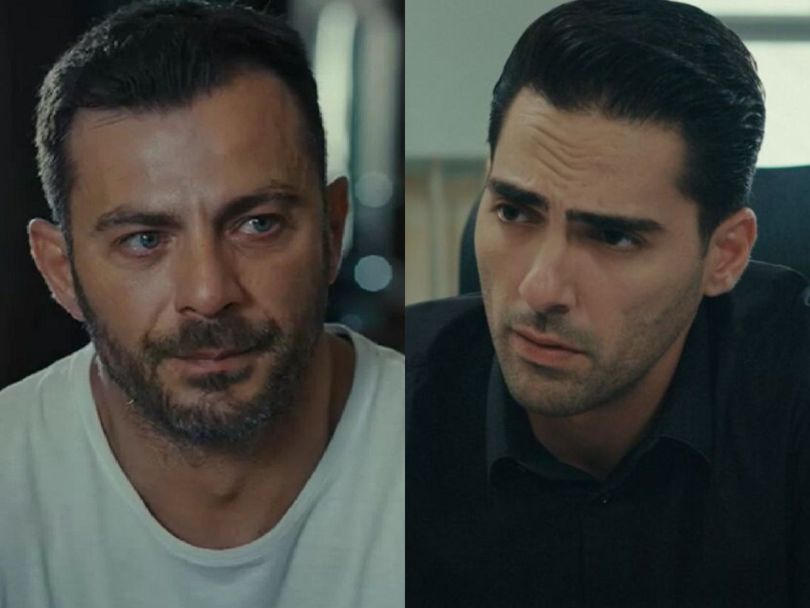 Η Γη της Ελιάς-Ορέστης-Κουράκος-