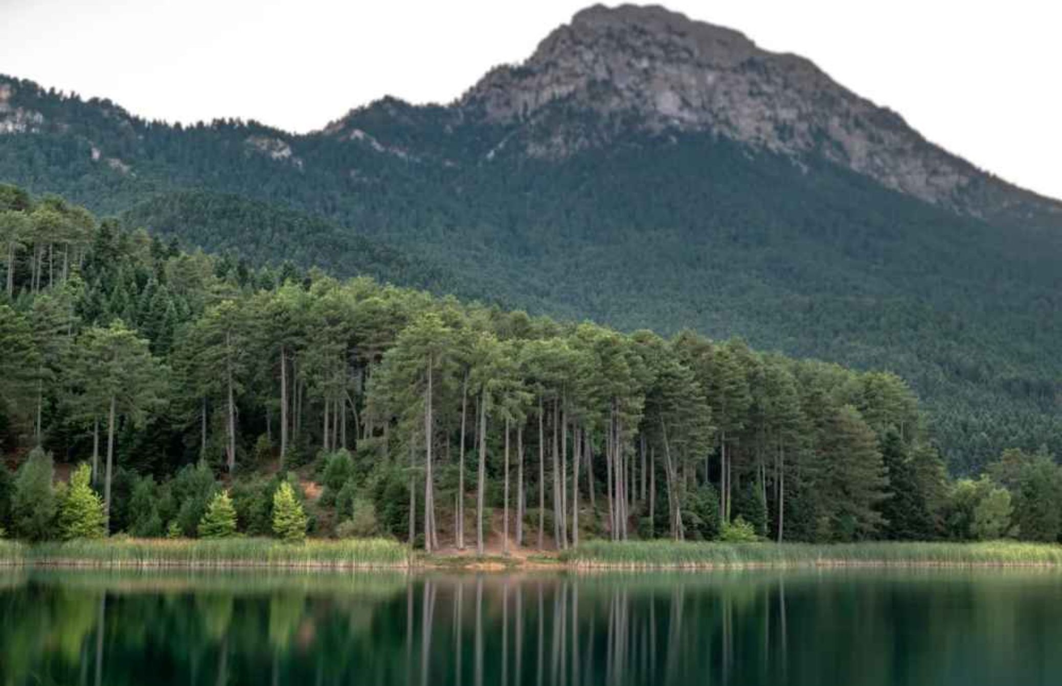 Λίμνη Δόξα: Ένας ονειρεμένος προορισμός μόλις 2 ώρες από την Αθήνα