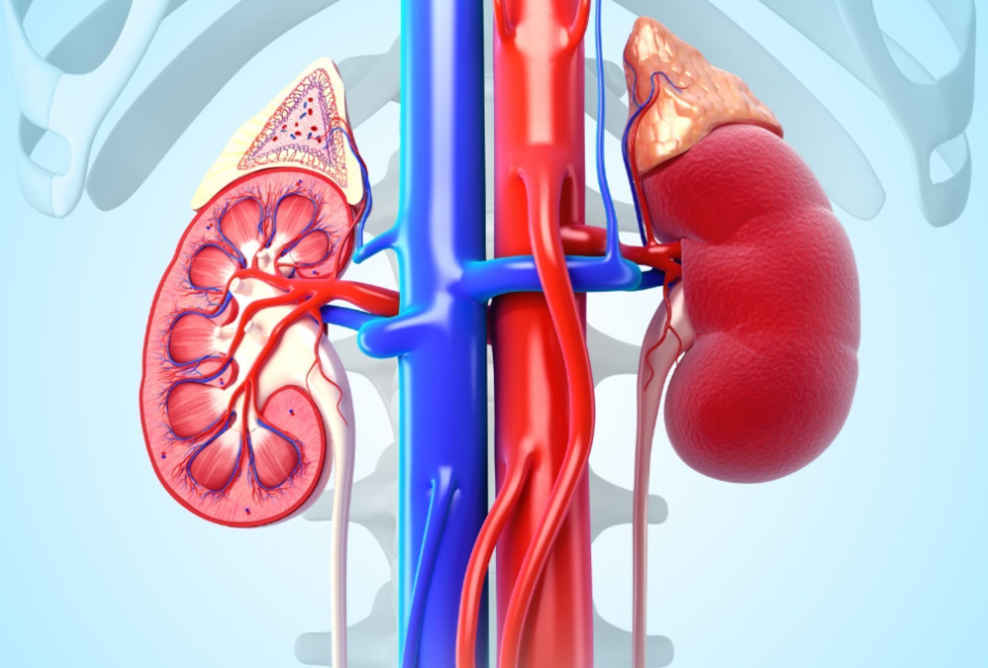 Αυτόματο προσχέδιο