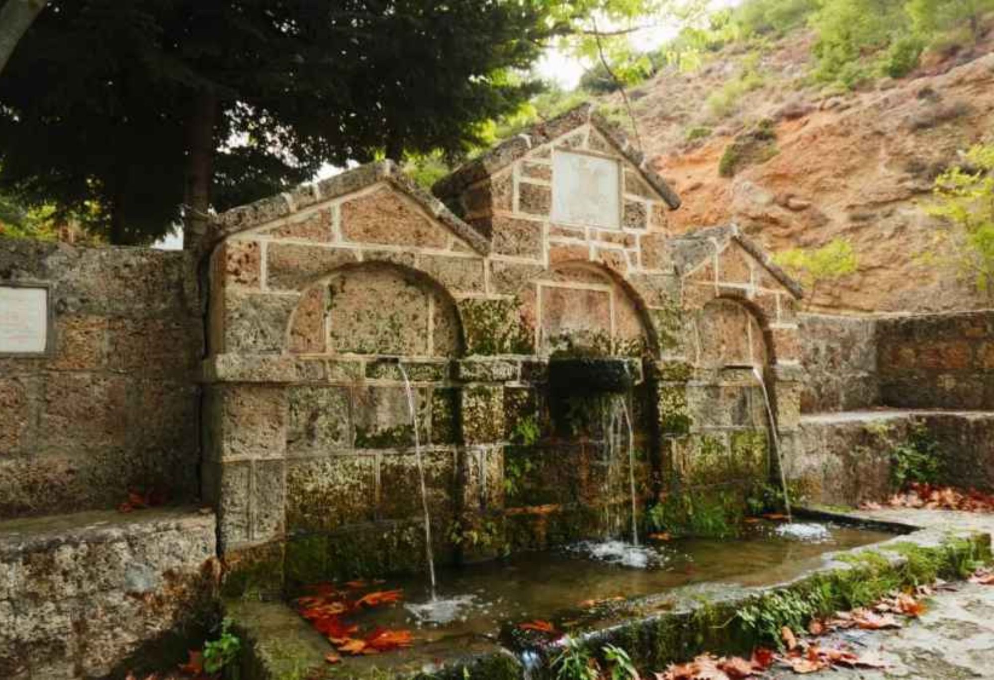 Αυτόματο προσχέδιο