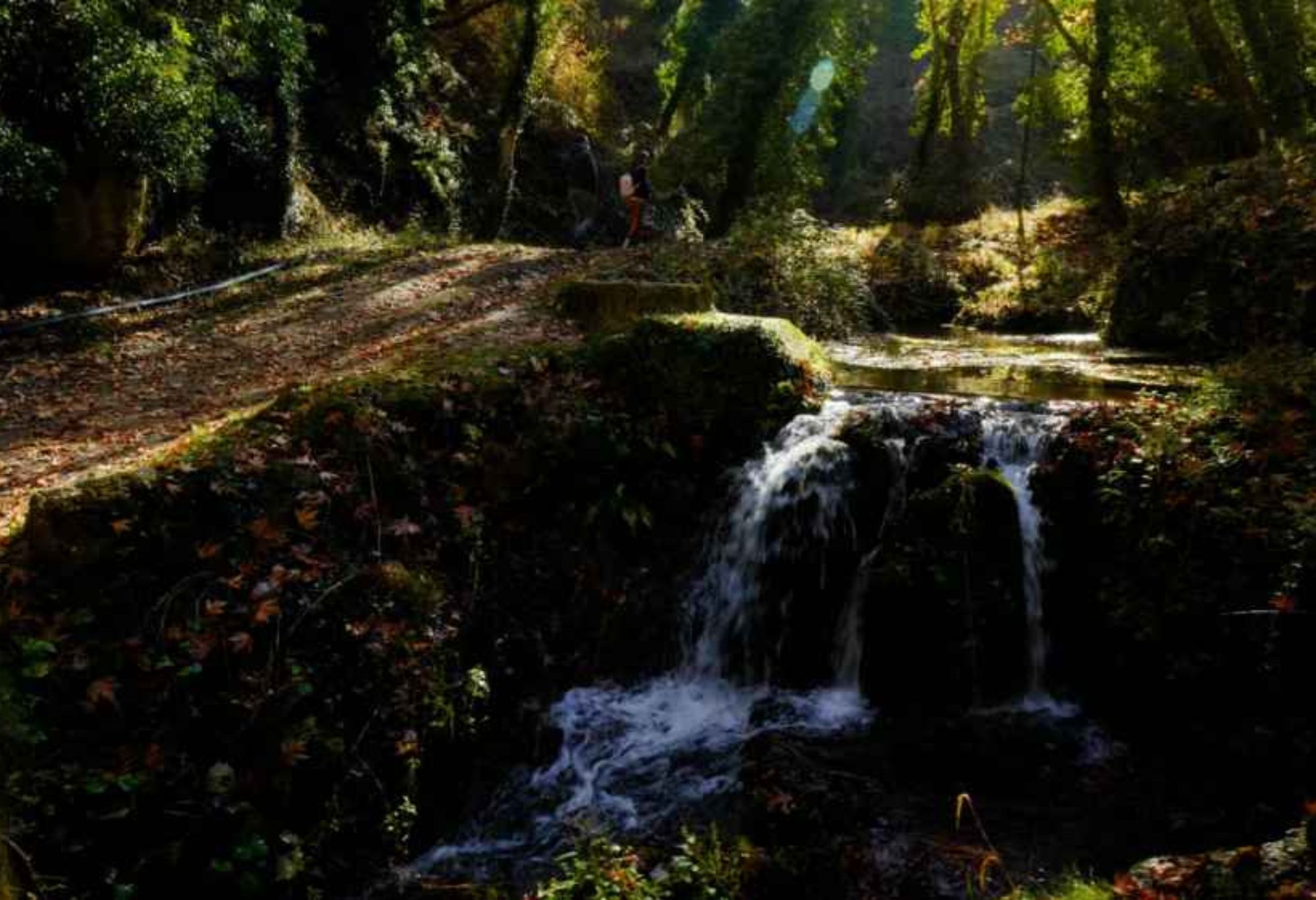 Αυτόματο προσχέδιο