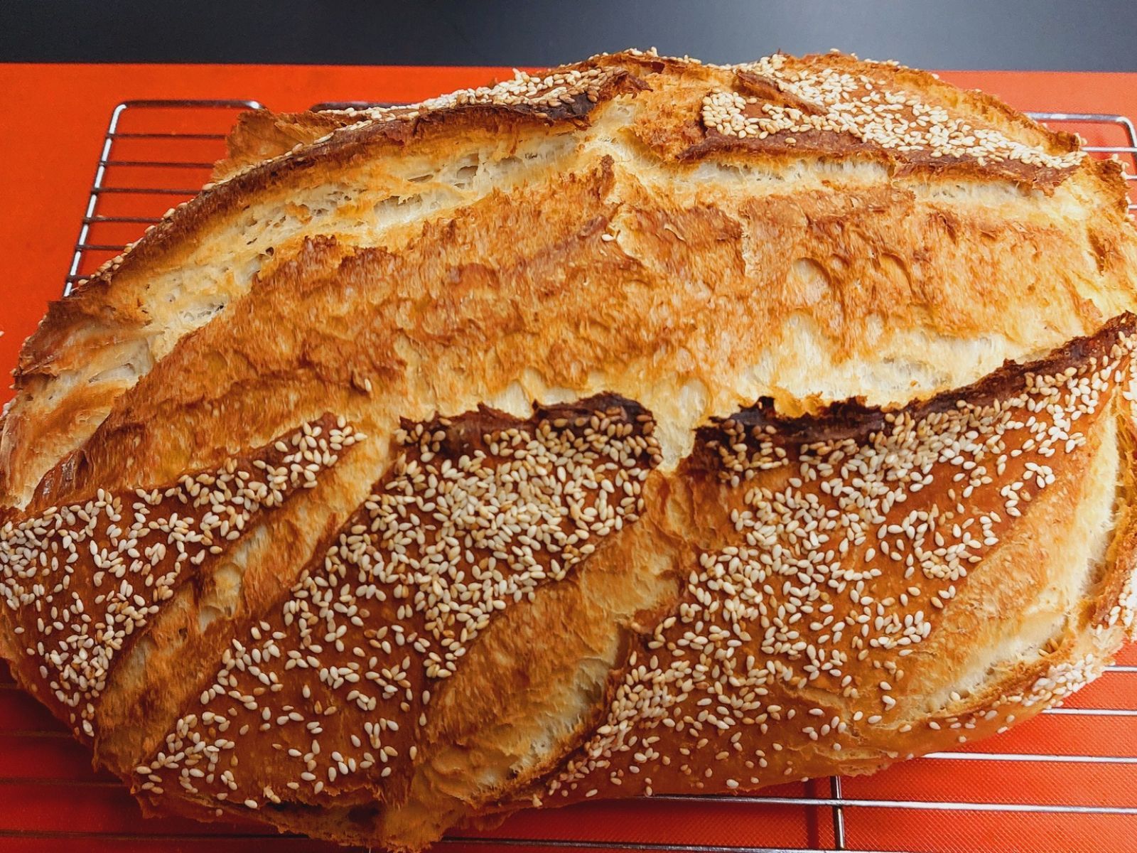 Ψωμί γάστρας του Γιώργου Ζώλη