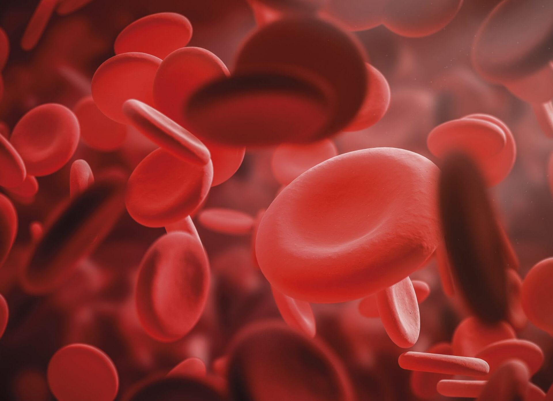 Αιμορροφιλία: Τι είναι ποια τα συμπτώματα και ποια η θεραπεία