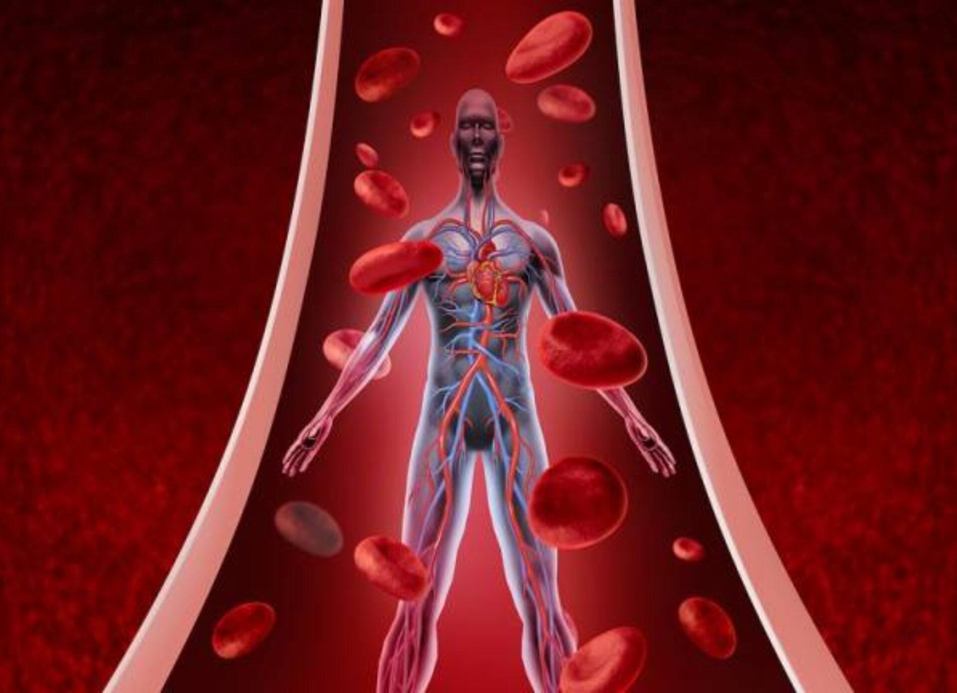 Αιμορροφιλία: Τι είναι ποια τα συμπτώματα και πως αντιμετωπίζεται