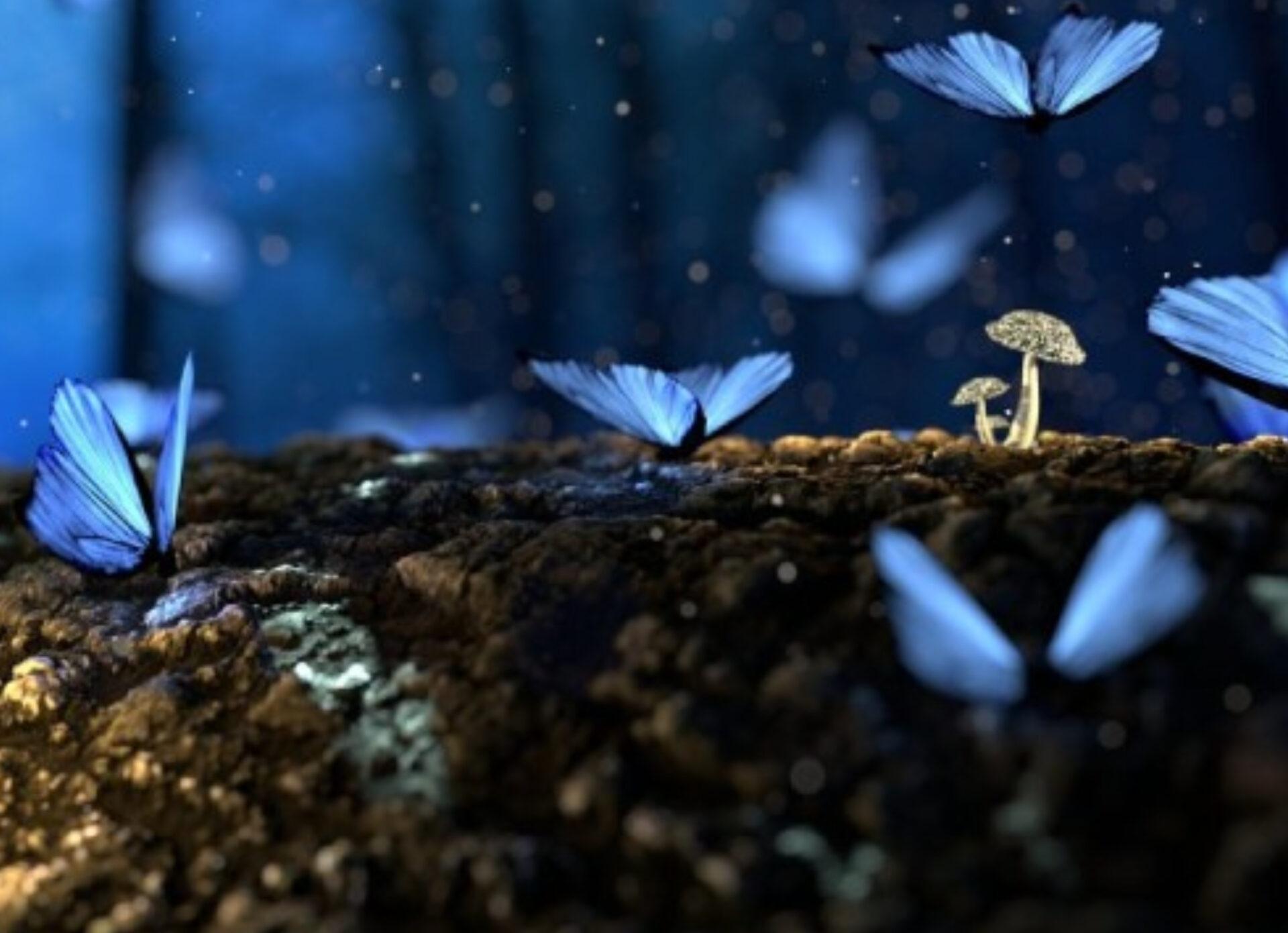 Το ψυχολογικό τεστ της πεταλούδας που θα σας αποκαλύψει τα κρυφά σας όνειρα