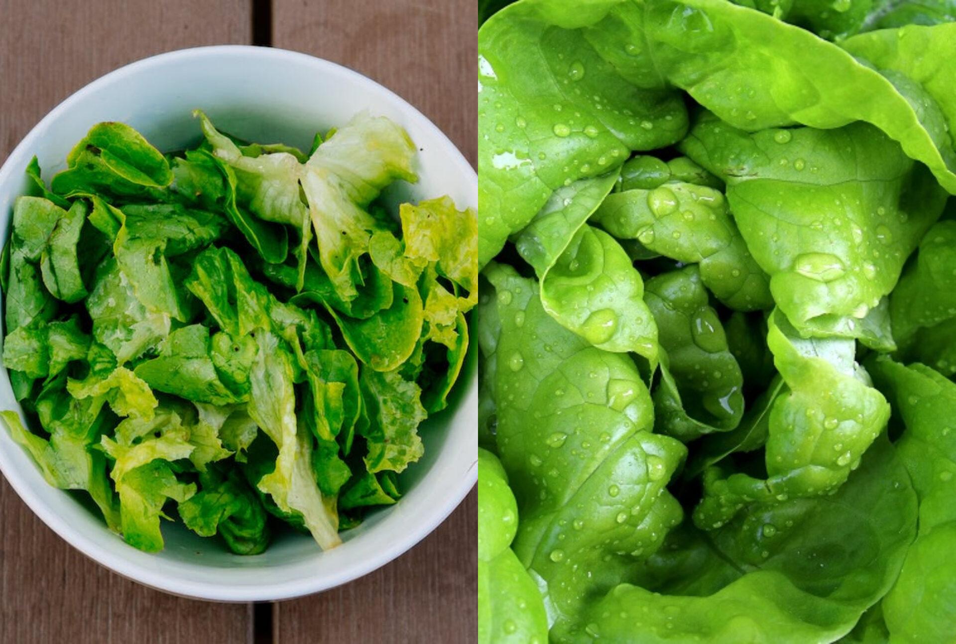 Μαρούλι: Η διατροφική αξία του και πως βοηθάει τον οργανισμό