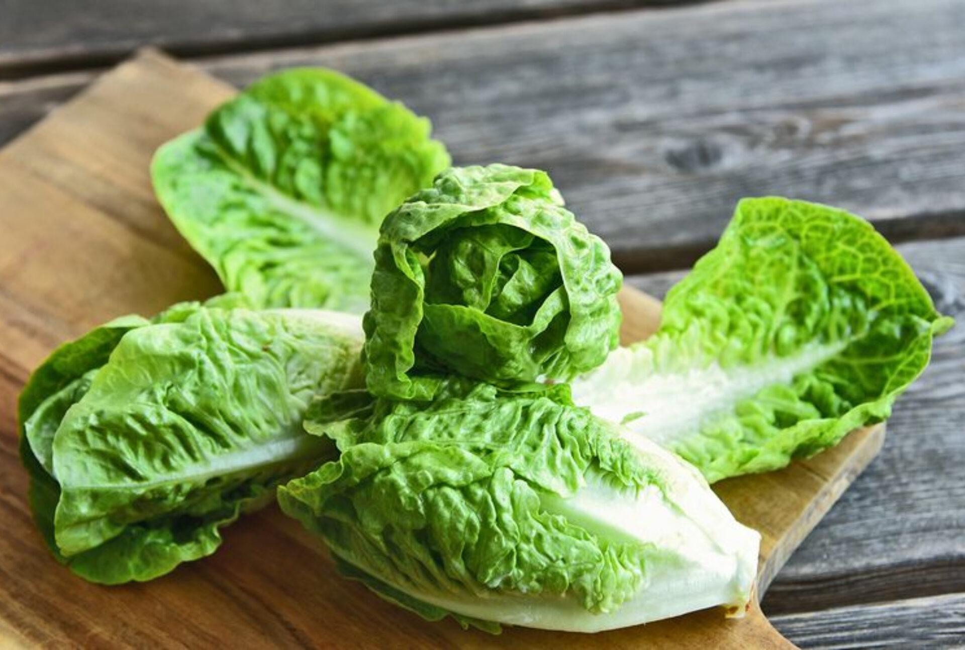 Μαρούλι: Η διατροφική αξία του και πως βοηθάει τον οργανισμό