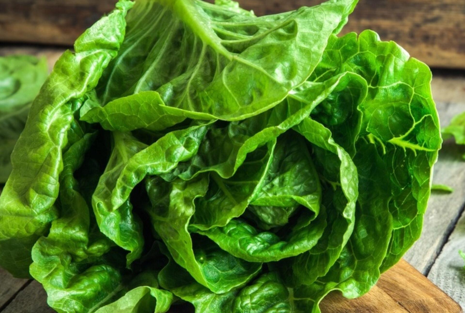 Μαρούλι: Η διατροφική αξία του και πως βοηθάει τον οργανισμό