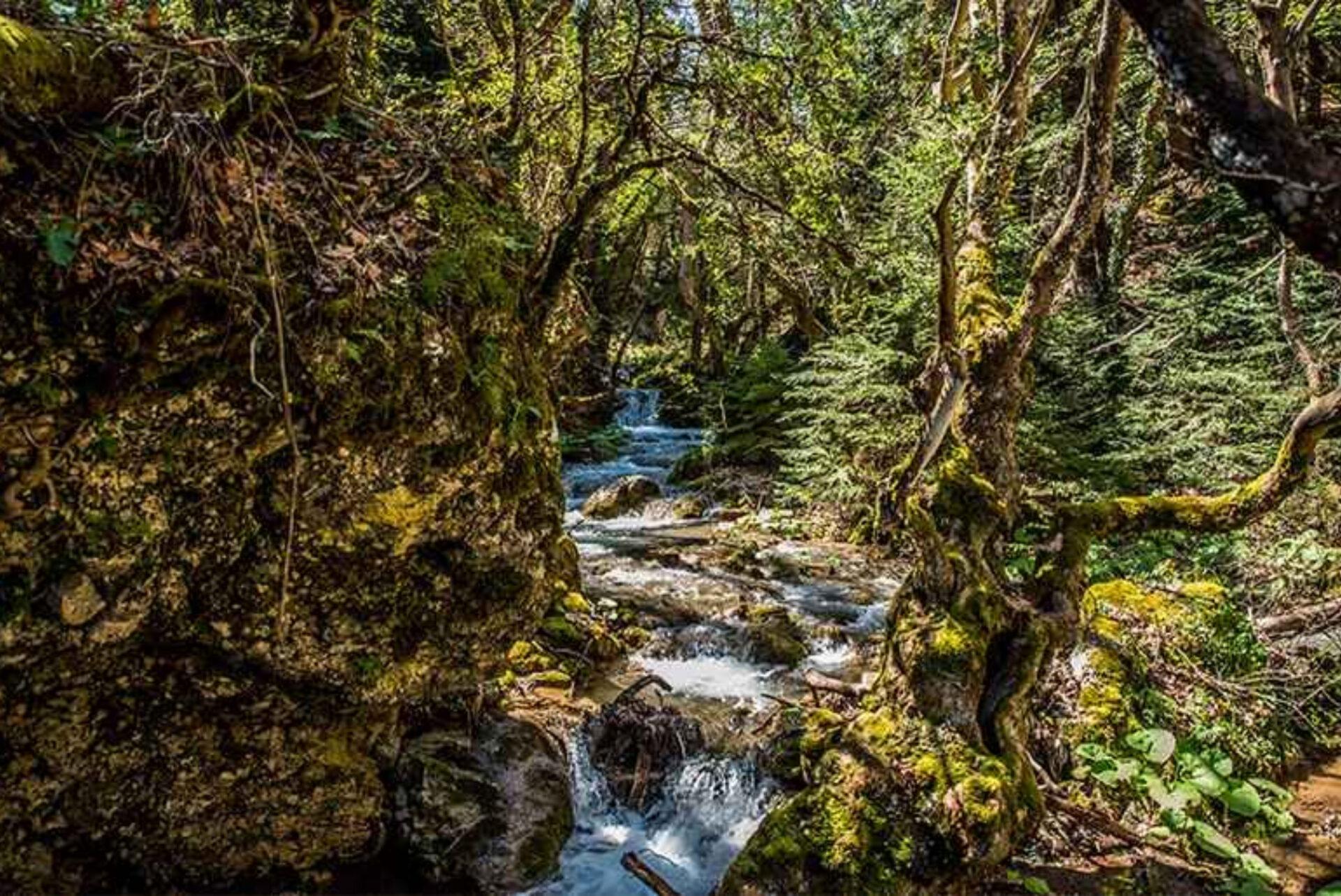 Παύλιανη: Το χωριό που μοιάζει βγαλμένο από παραμύθι και πρέπει να επισκεφθείς