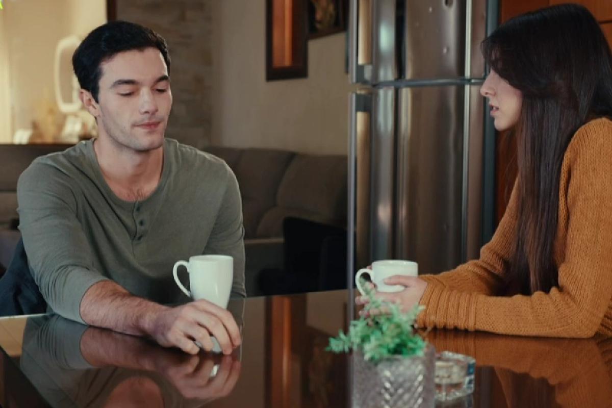 Η Γη της Ελιάς-Μιλτιάδης-Βασιλική- Η Γη της Ελιάς-Μιλτιάδης-Βασιλική-