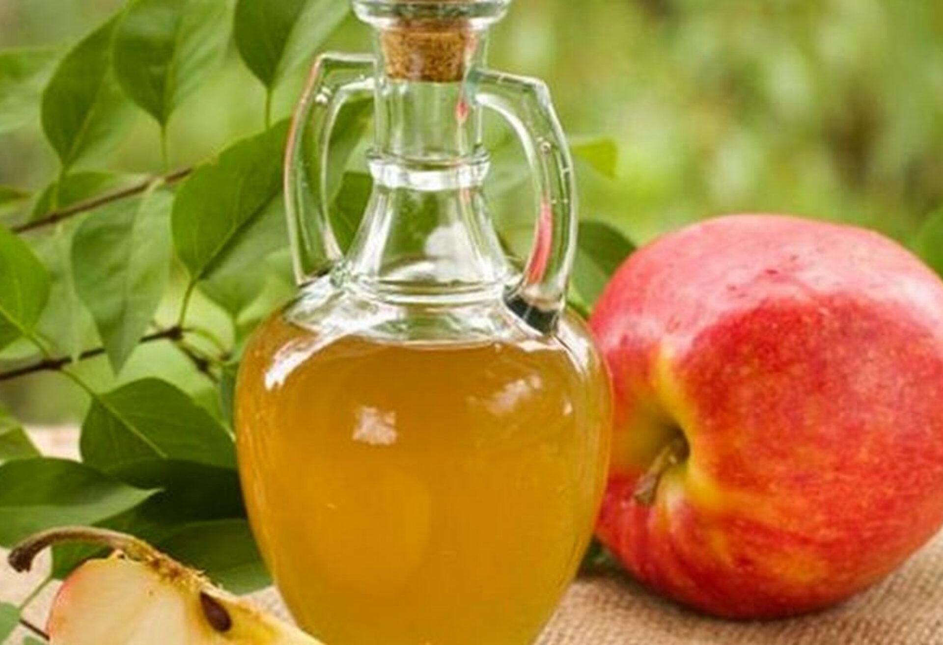 Μαύρα μυγάκια που πολλαπλασιάζονται συνεχώς σπίτι: Δείτε πως να τα διώξετε οριστικά