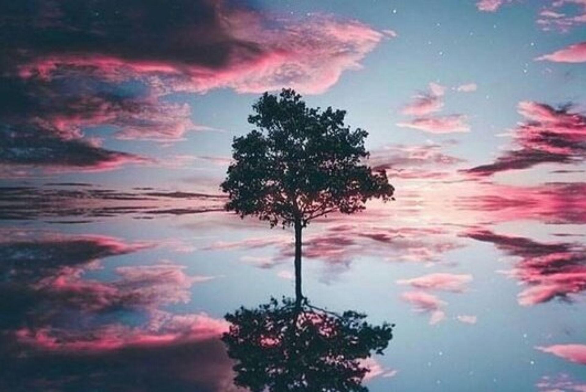 Το τεστ του δέντρου που θα σας αποκαλύψει πόσο πιστός είστε