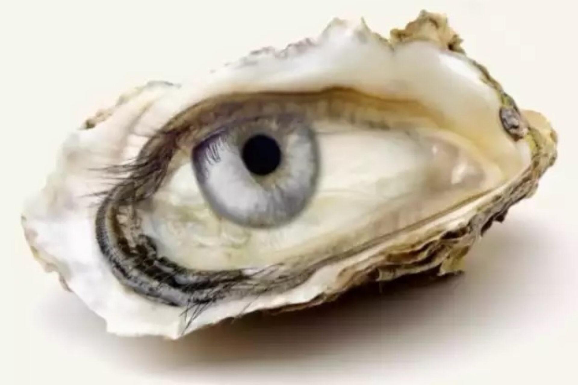 Το τεστ που θα αποκαλύψει τι σου επιφυλάσσει το σύμπαν για το μέλλον