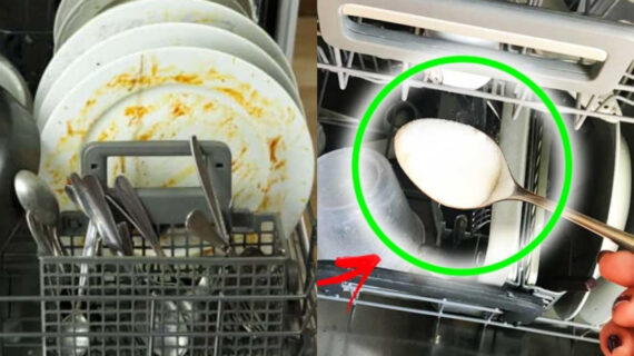 Εξαφανίστε την μυρωδιά αυγού από το πλυντήριο πιάτων με 4 ευκολά κόλπα