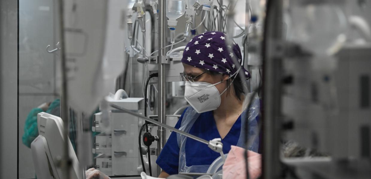 πυρετός-παπαγάλων-κρούσματα-στην-Ευρώπη- πυρετός-παπαγάλων-κρούσματα-στην-Ευρώπη-