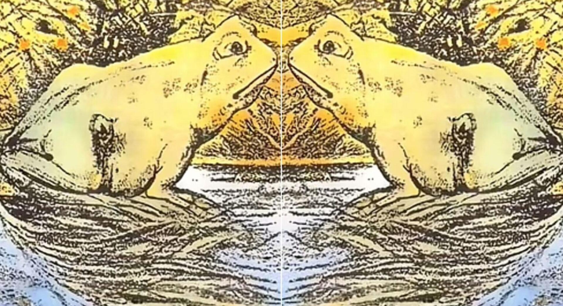 Το τεστ προσωπικότητας του βάτραχου θα σου αποκαλύψει αν κοιτάς το μέλλον ή μένεις κολλημένοι στο παρελθόν