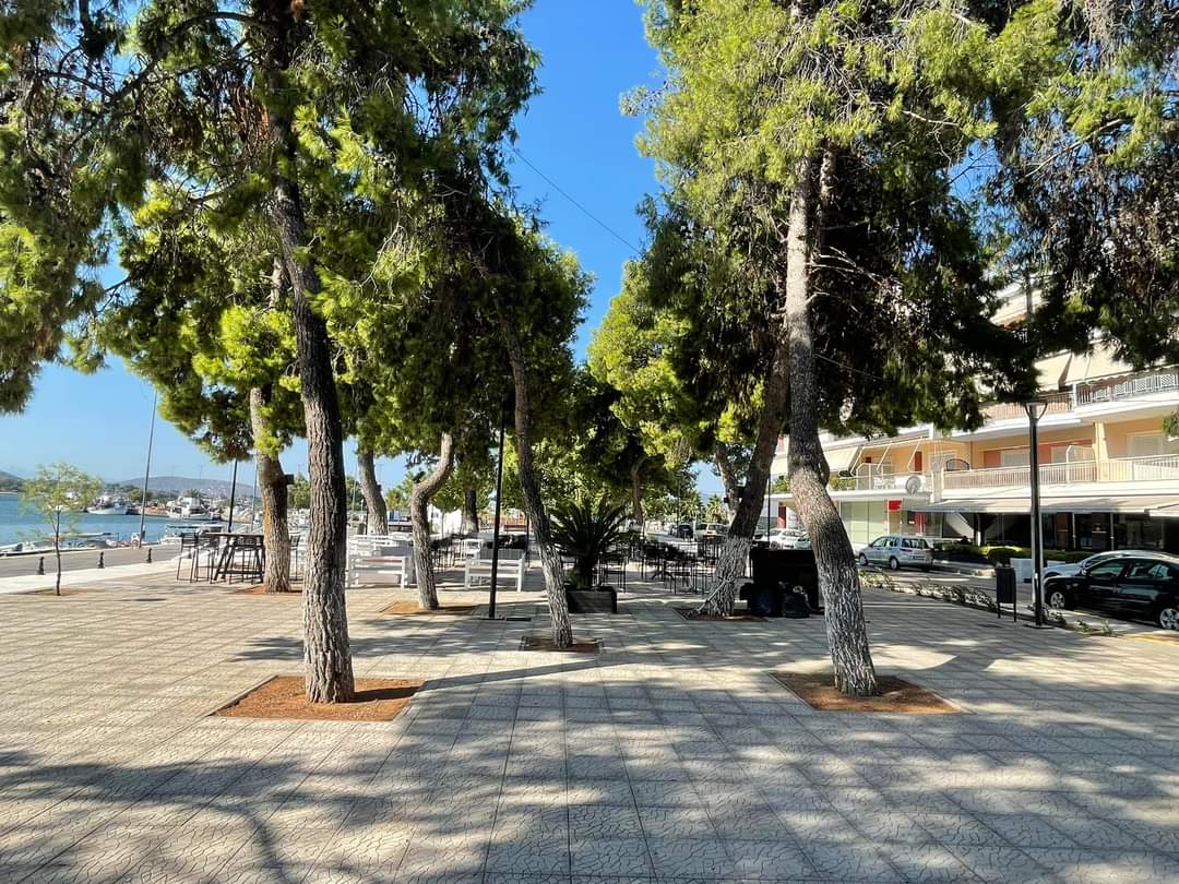 Καθαρά Δευτέρα-στη-Νέα Αρτάκη-στην-Εύβοια-οικογενειακές-διακοπές- Καθαρά Δευτέρα-στη-Νέα Αρτάκη-στην-Εύβοια-οικογενειακές-διακοπές-