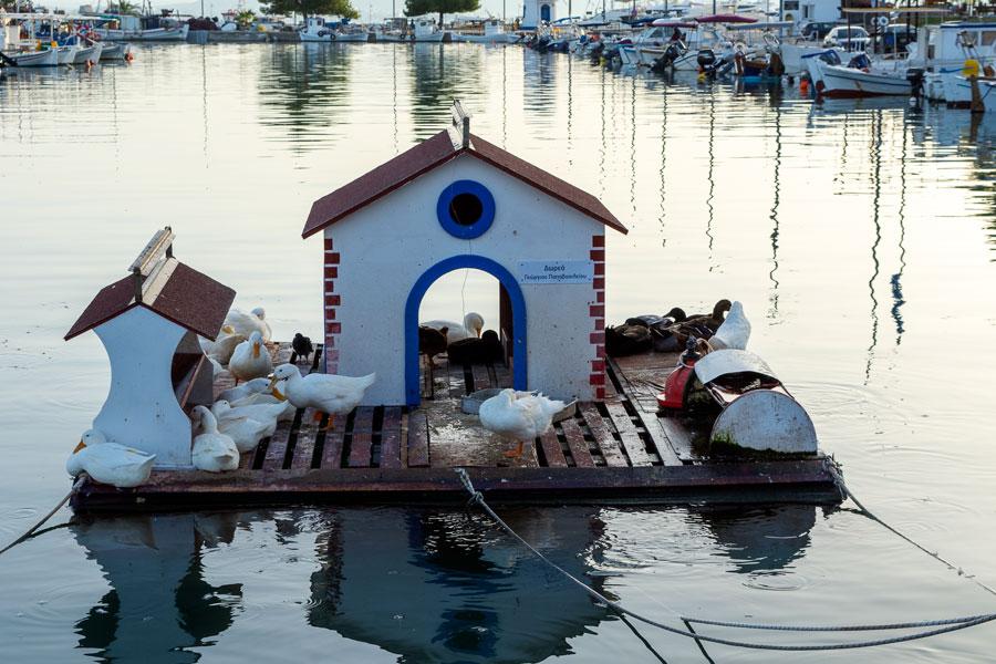 Νέα Αρτάκη: Ένας οικονομικός προορισμός για την Καθαρά Δευτέρα με τα ουζερί πάνω στο κύμα μόλις μιάμιση ώρα απο την Αθήνα