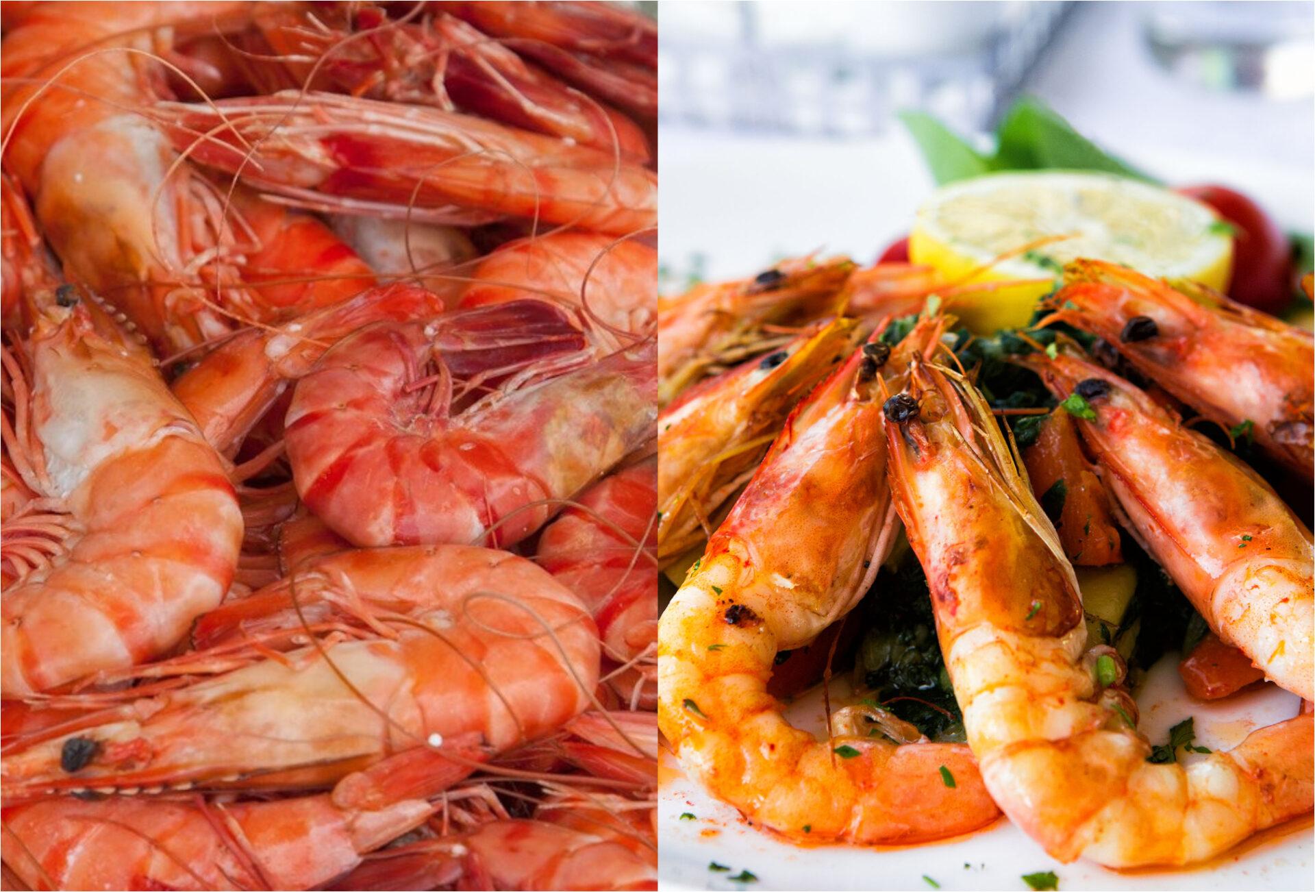 Γαρίδες: Η διατροφική αξία τους και πως βοηθάν τον οργανισμό