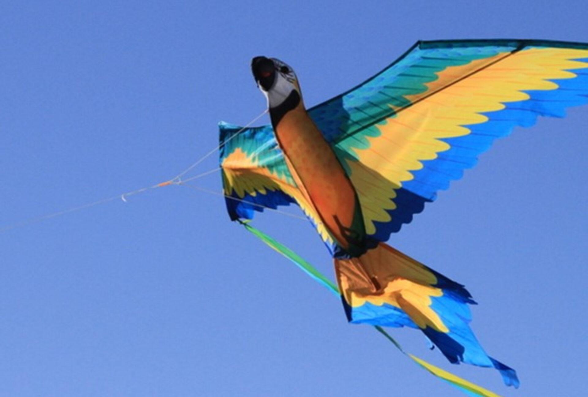 Η Ιστορία του Χαρταετού από το πείραμα του Φραγκλίνου και τους κινέζικους δράκους ως και την Ελληνική Σαρακοστή